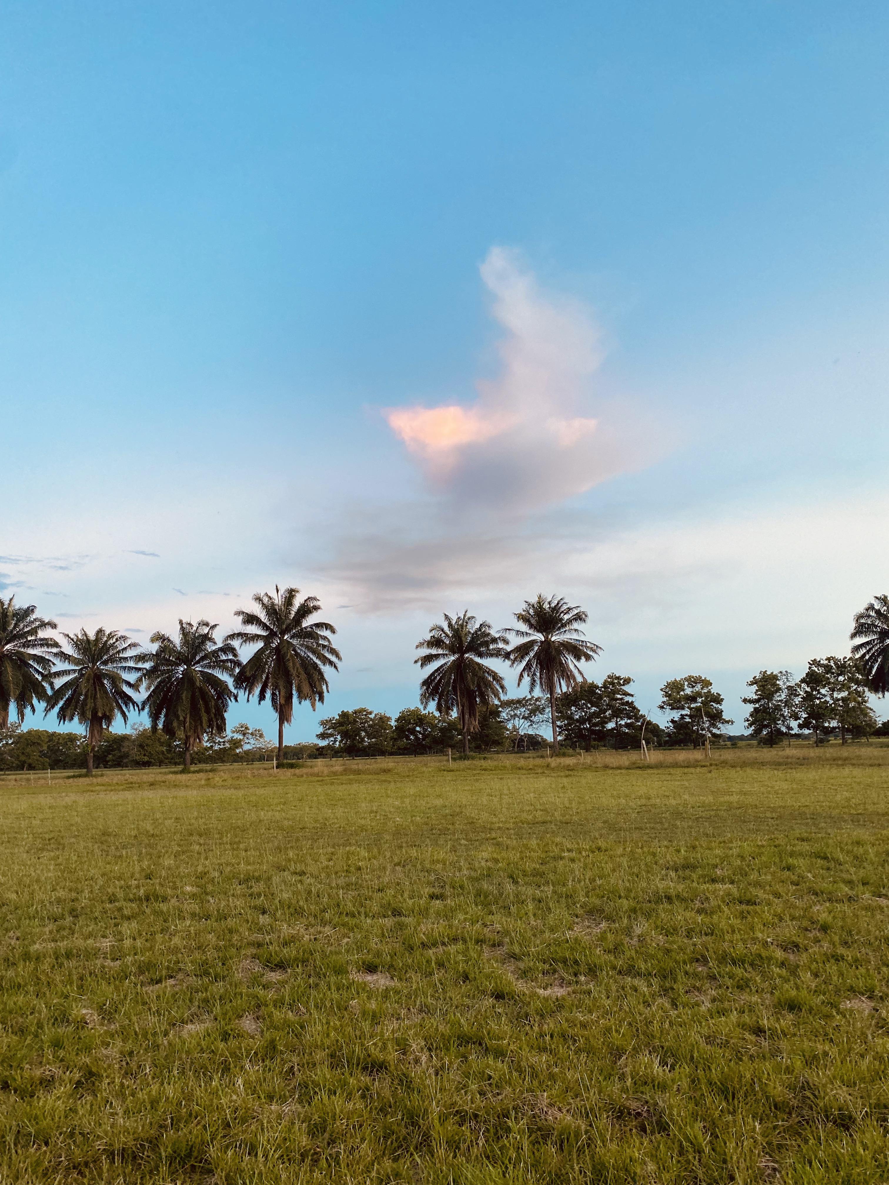 Colombia, shot on iPhone 11, r