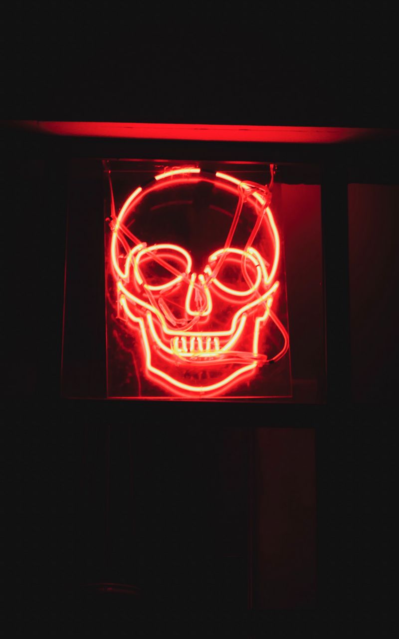 Download wallpaper 800x1280 skull, neon
