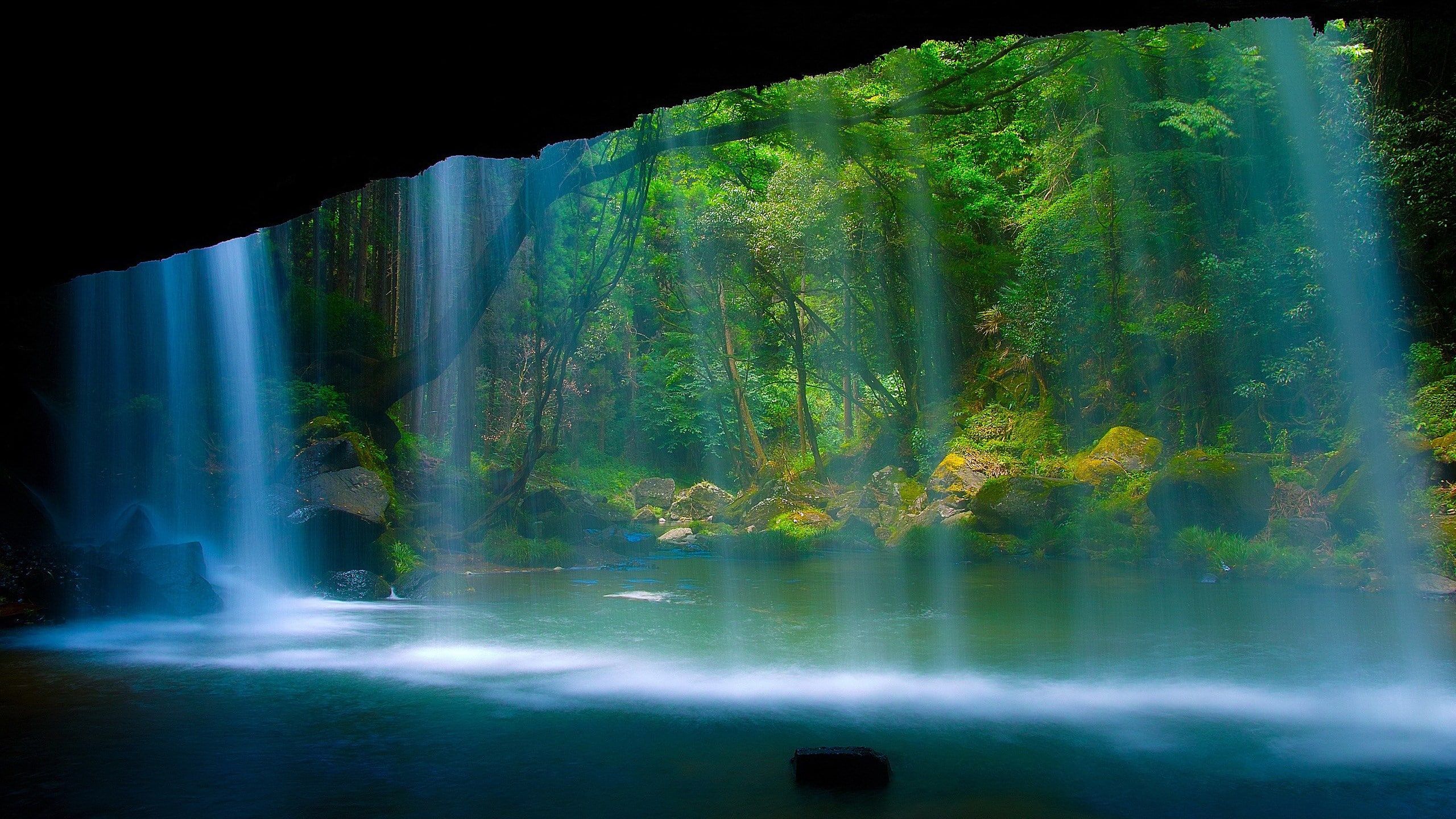 HD wallpaper: nature beauty desktop HD