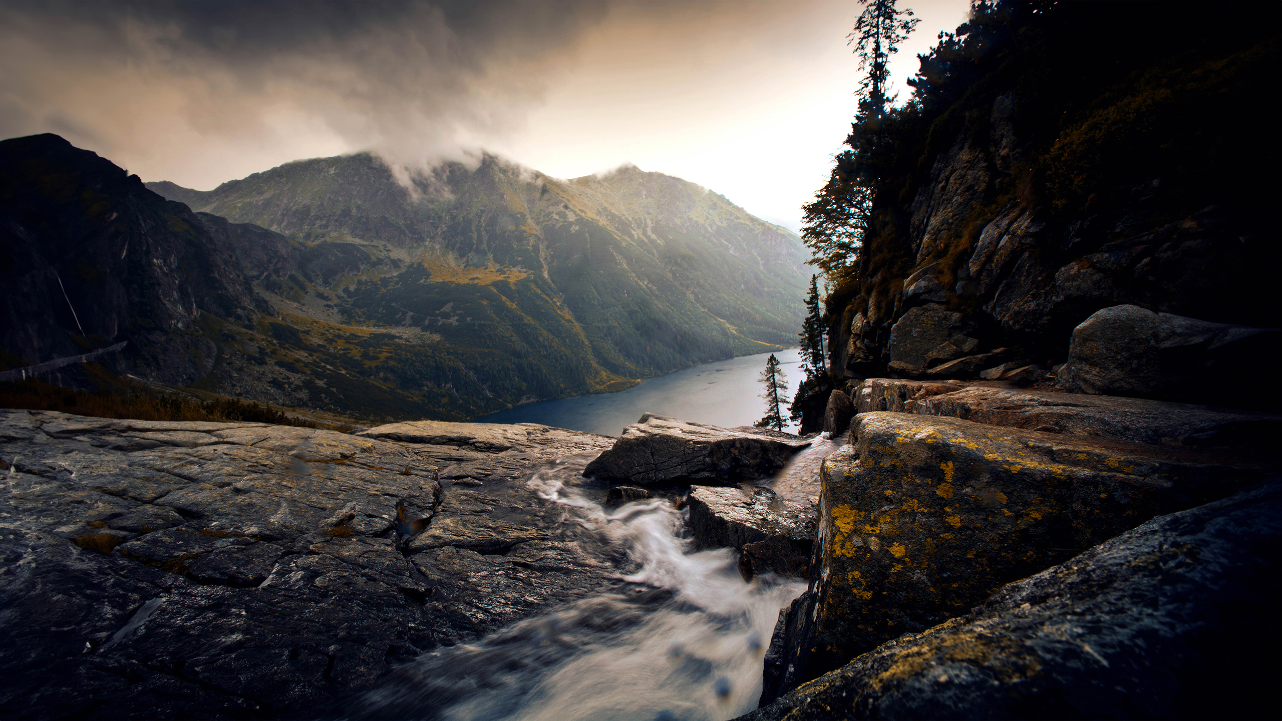 Wild Nature 2K Wallpaper x 1440