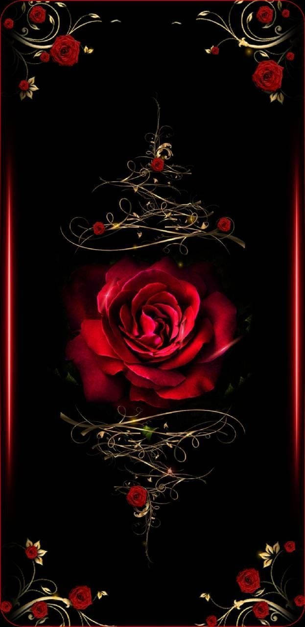 Red Rose Wallpaper. Wallpaper
