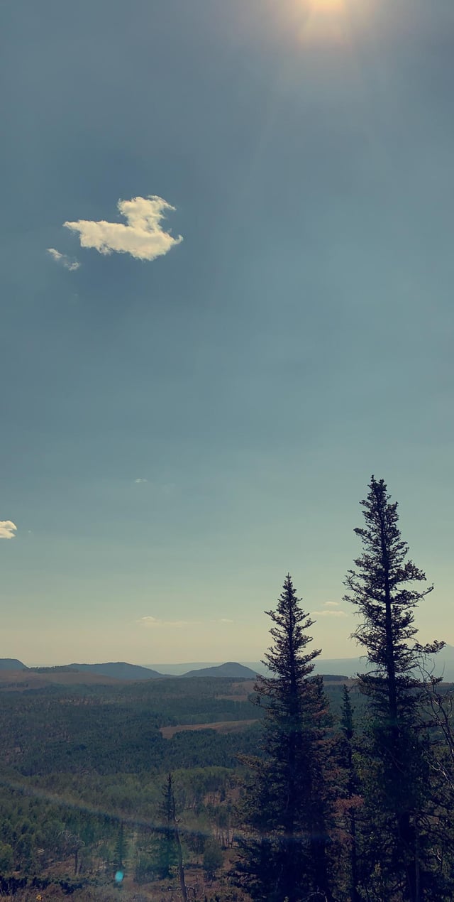 picture last summer here in colorado