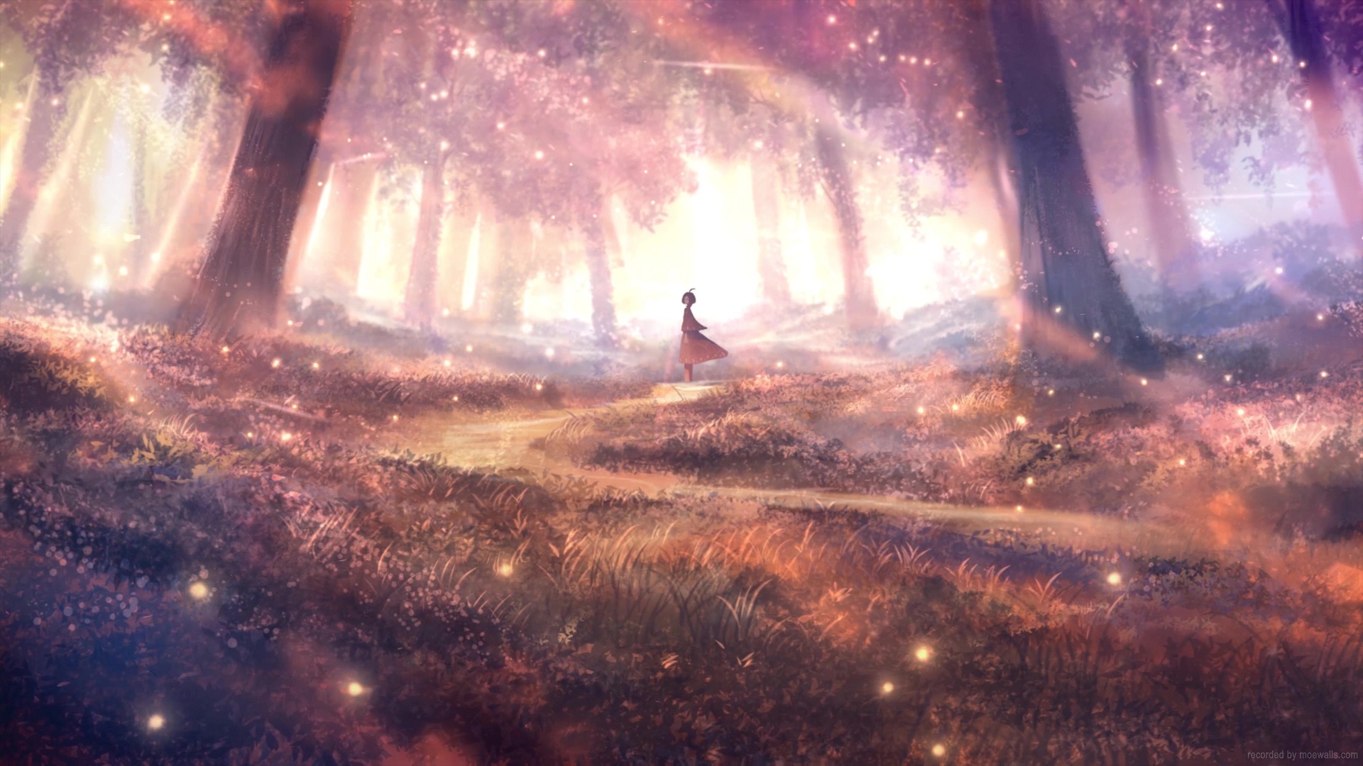 Magical Forest Autumn Live Wallpaper