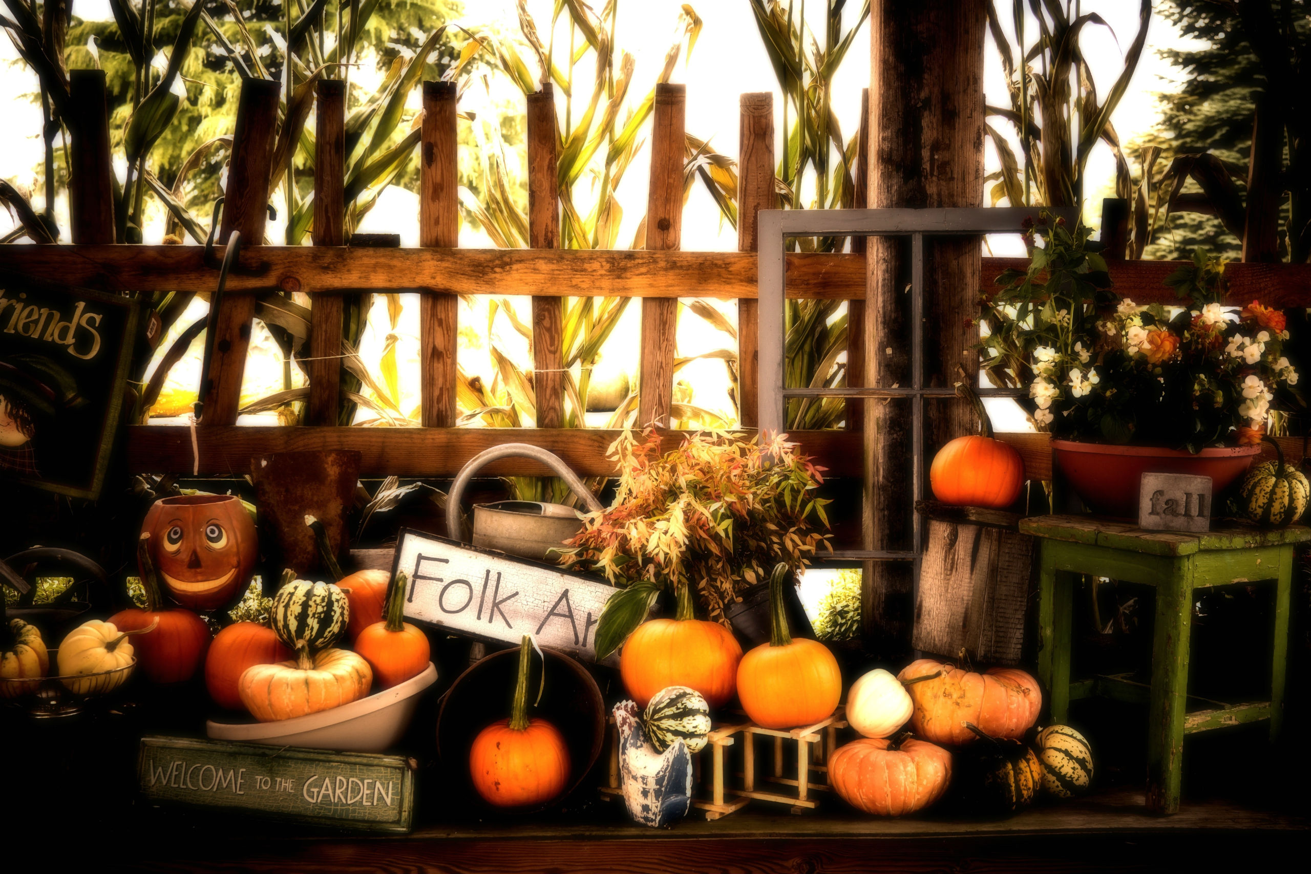 Download Thanksgiving Pumpkin Fall