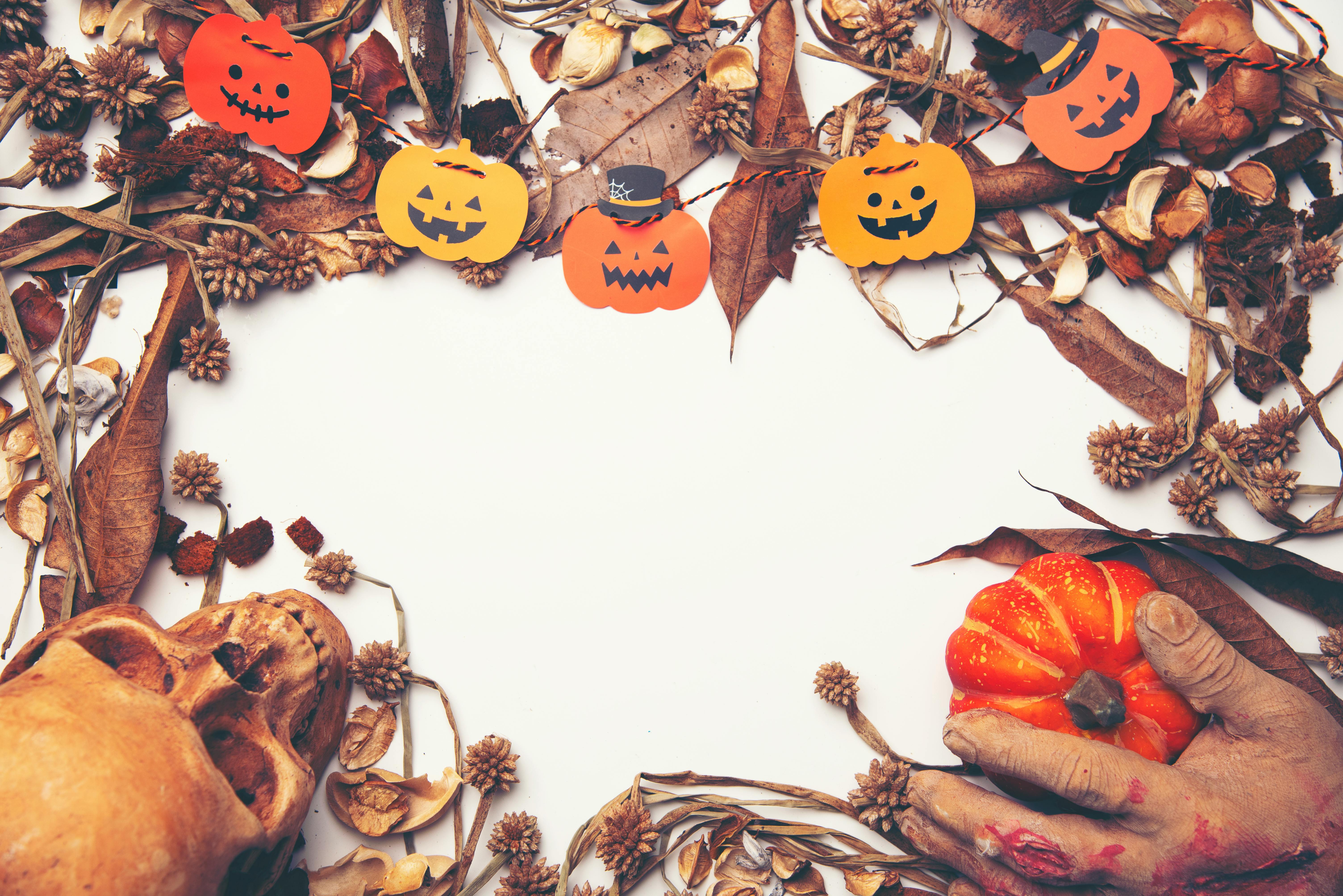 Halloween Background Photo, Download