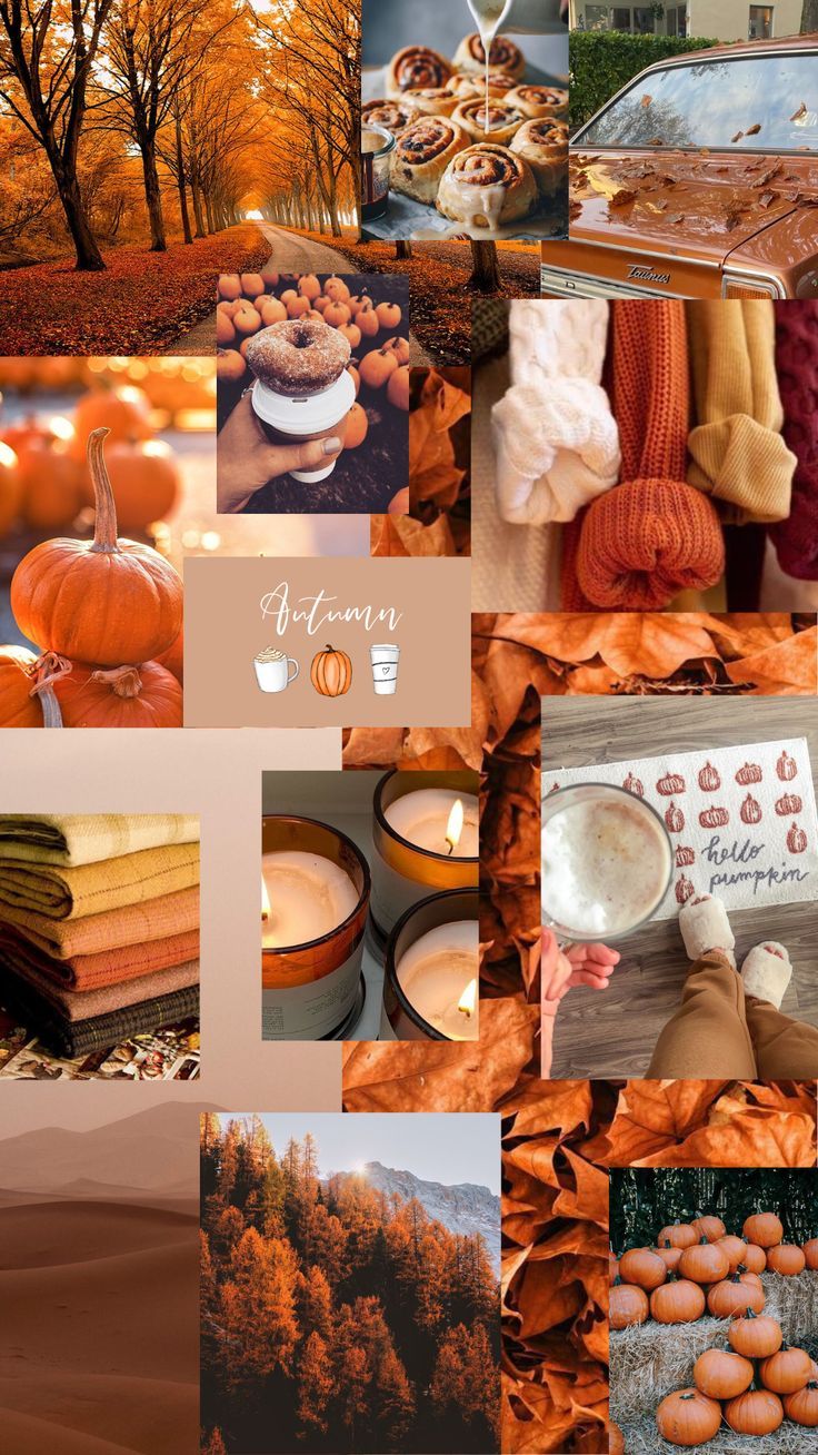 Fall Autumn Aesthetic Phone Wallpaper Ios 16 Home Screen Theme Aesthetic