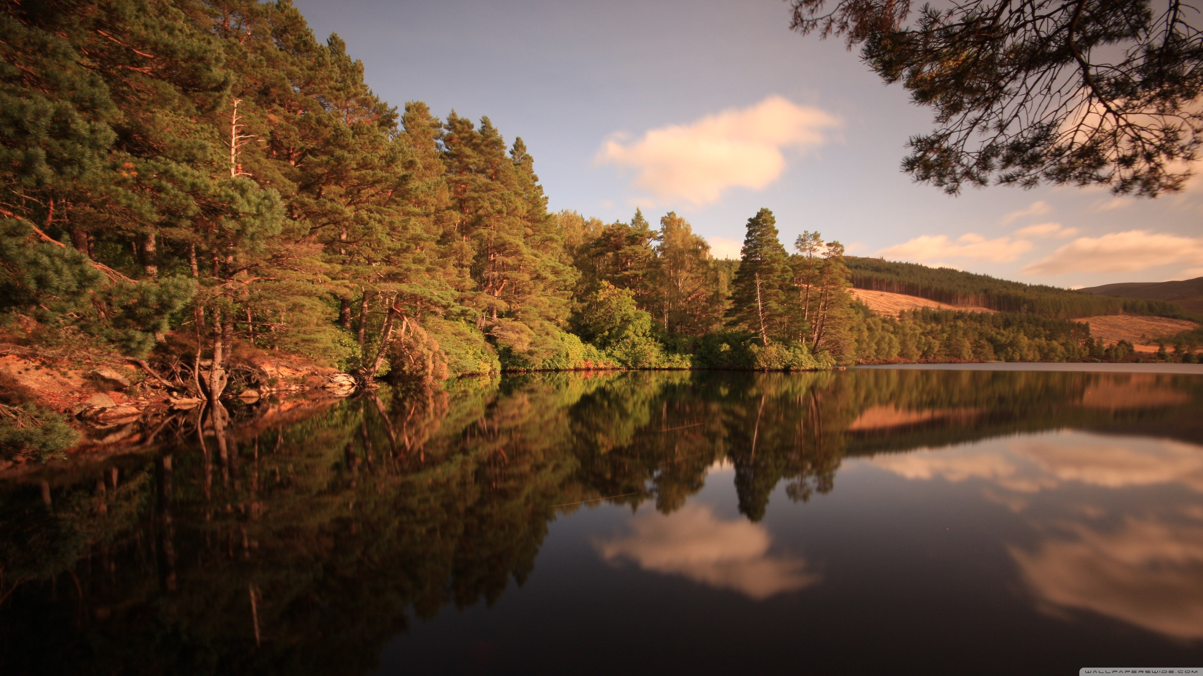 Forest Lake, Late Summer 4K UHD Wallpaper for UltraHD Desktop and TV, Dual Monitor, Smartphone and Tablet Devices