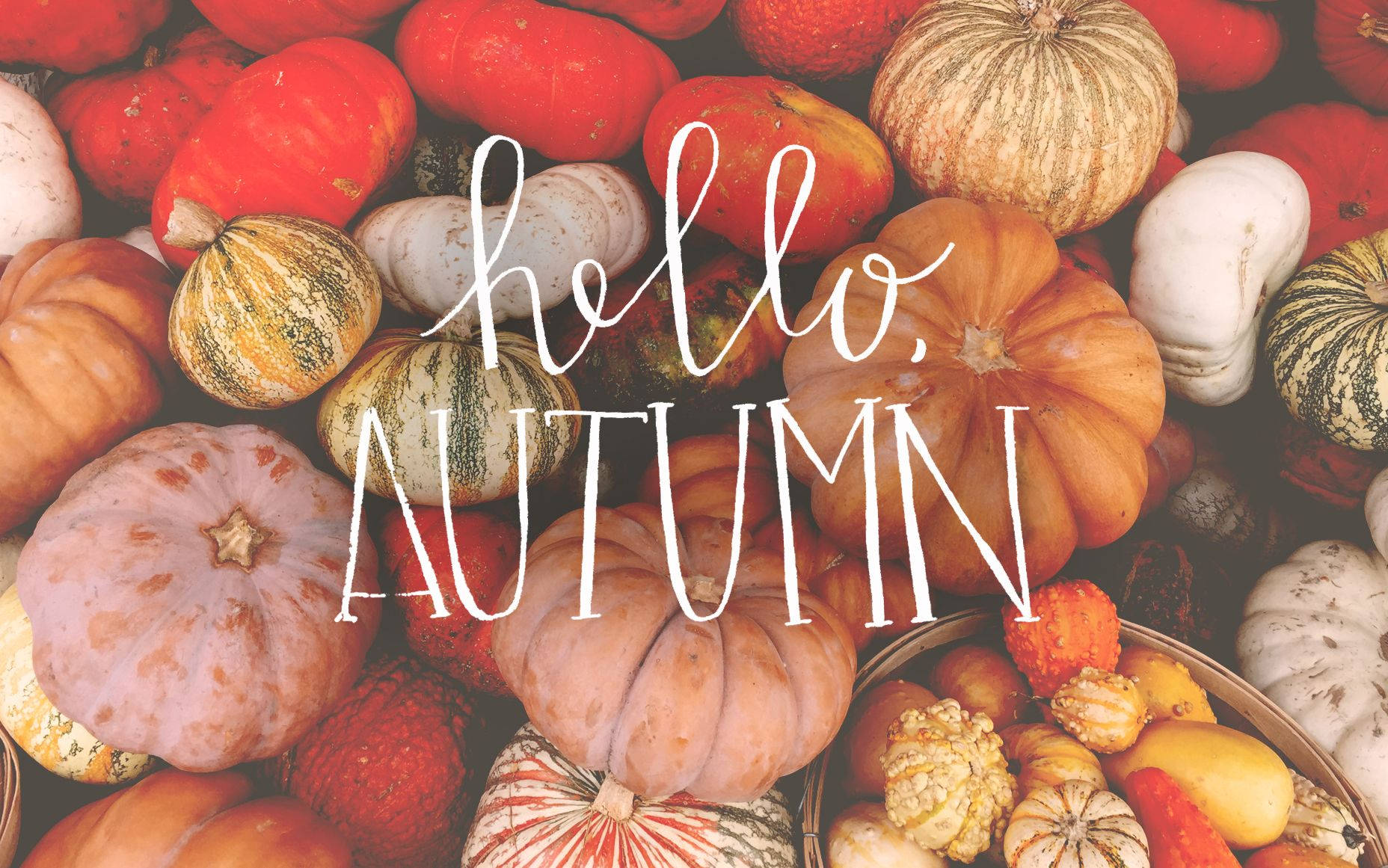 Download Autumn Aesthetic Laptop Hello Autumn Wallpaper