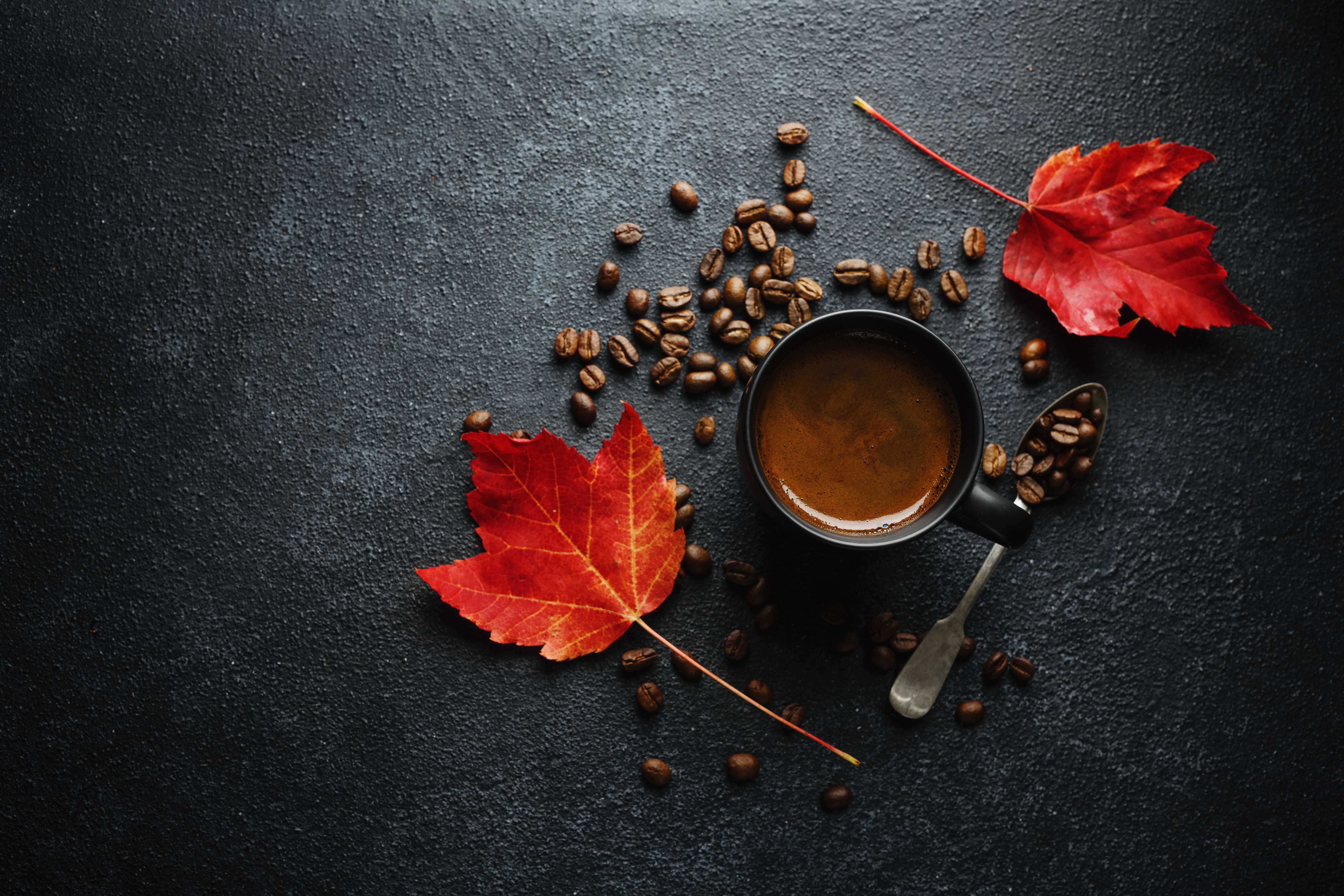 Autumn Coffee Bliss in 4K Ultra HD