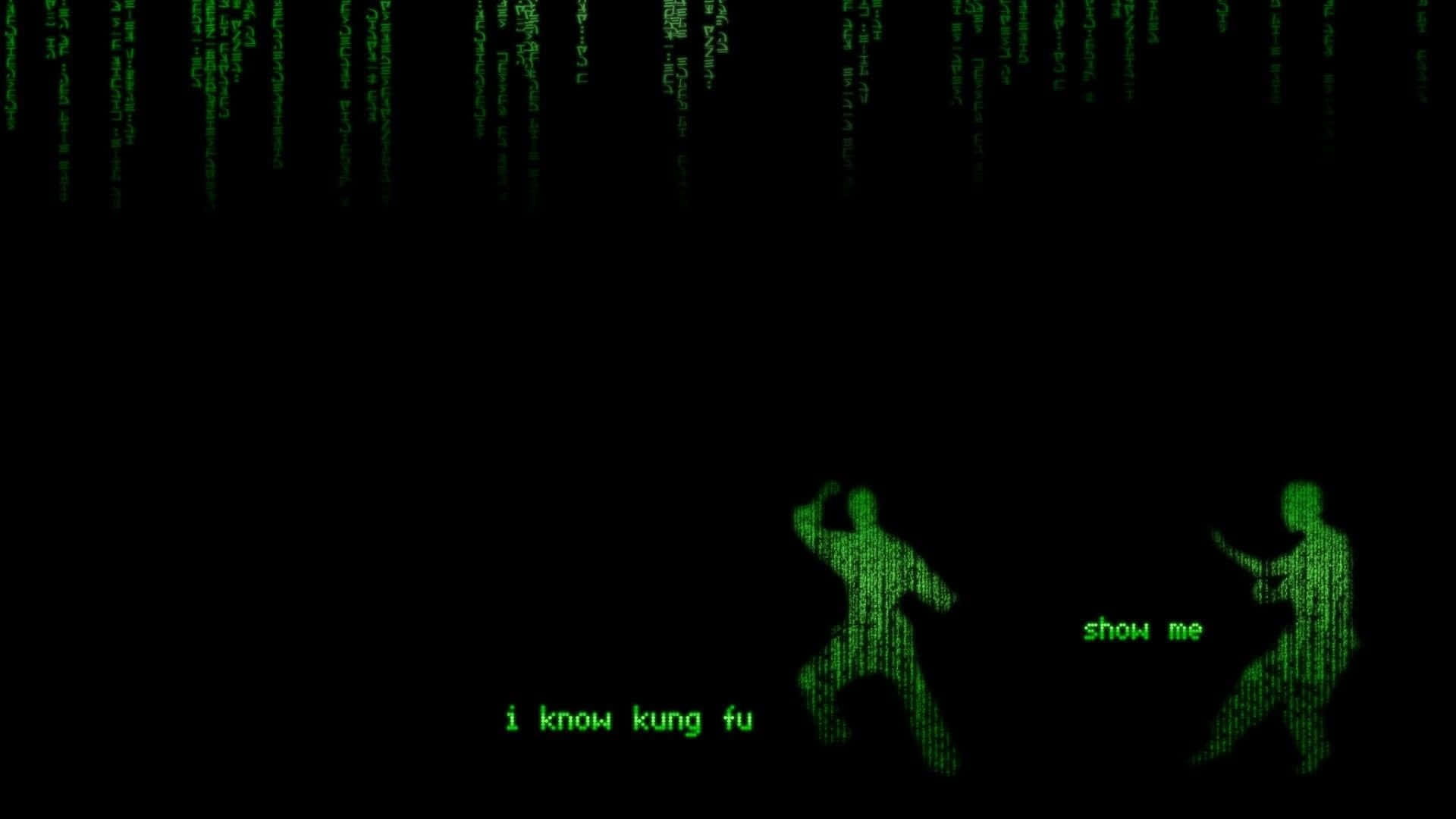 Download Enter The Matrix