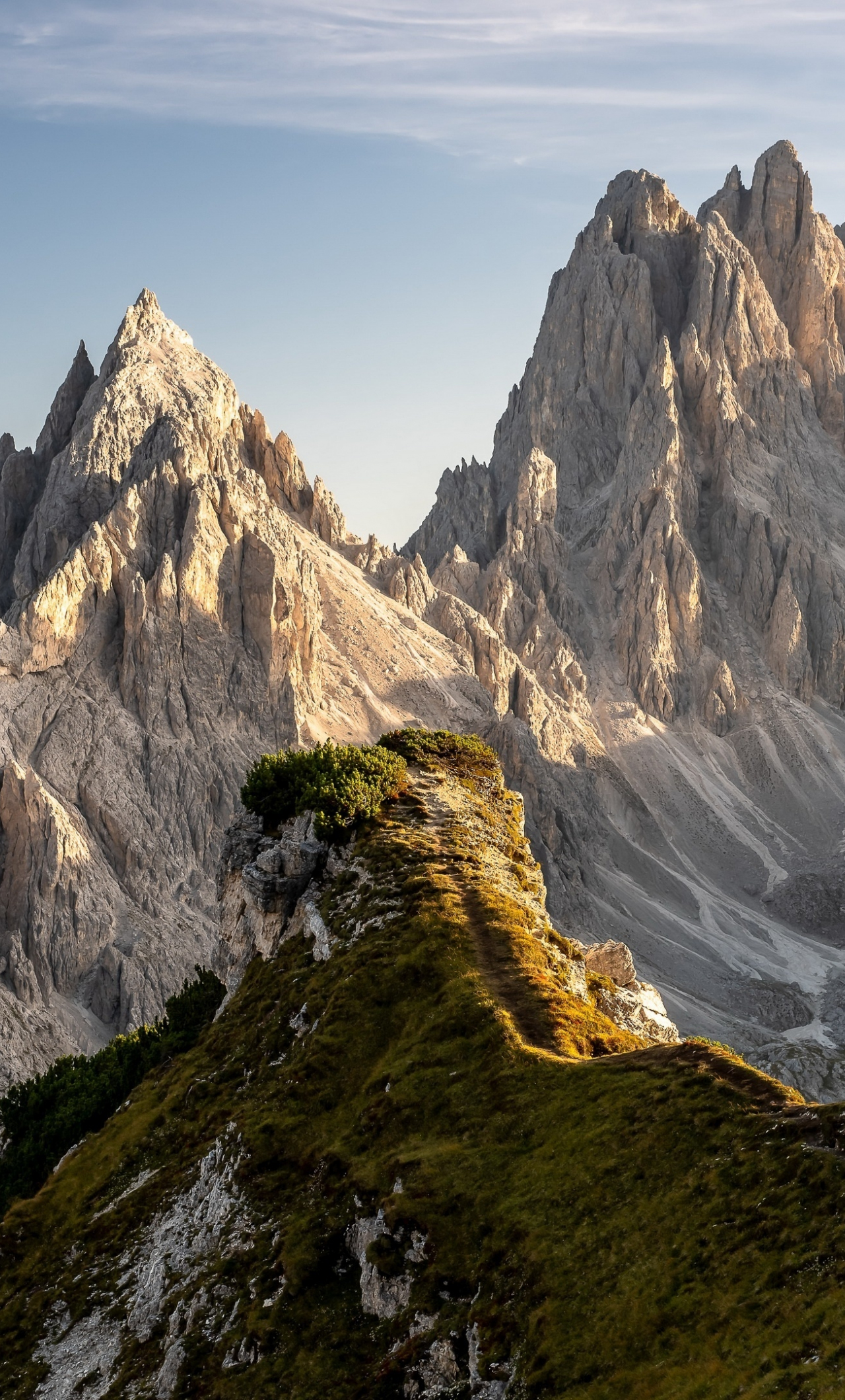 Download wallpaper 1280x2120 nature