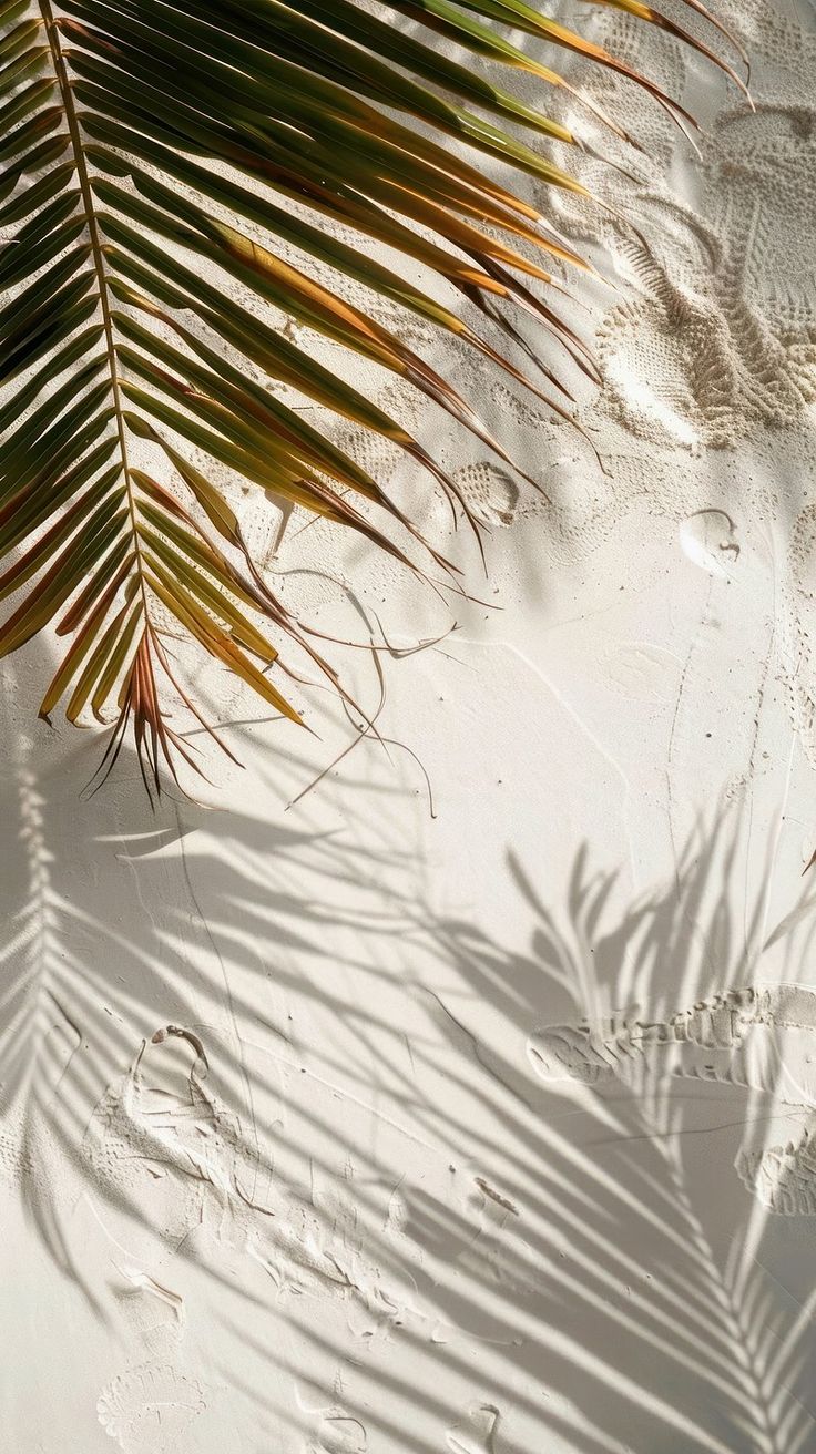 Sasi about iphone wallpaper summer