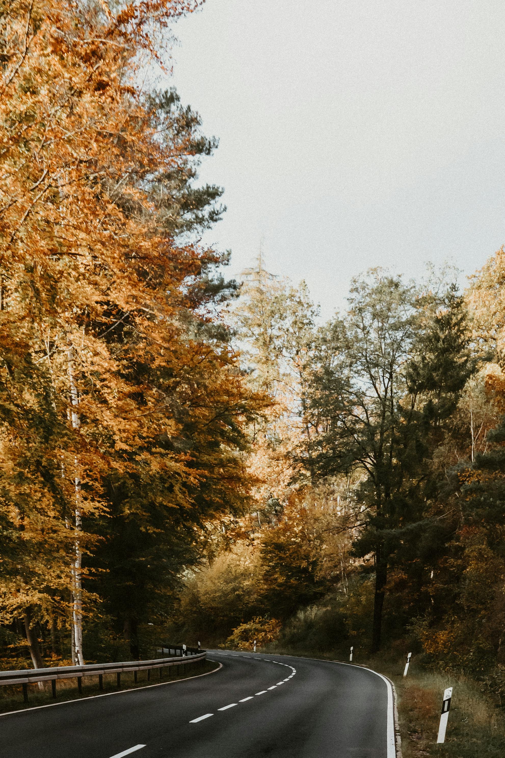 Autumn road trip road to