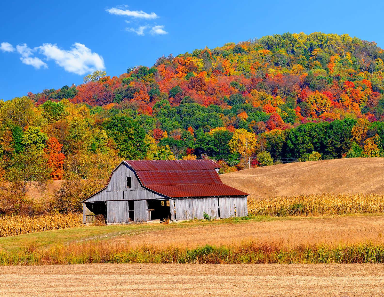 Fall Country Wallpaper