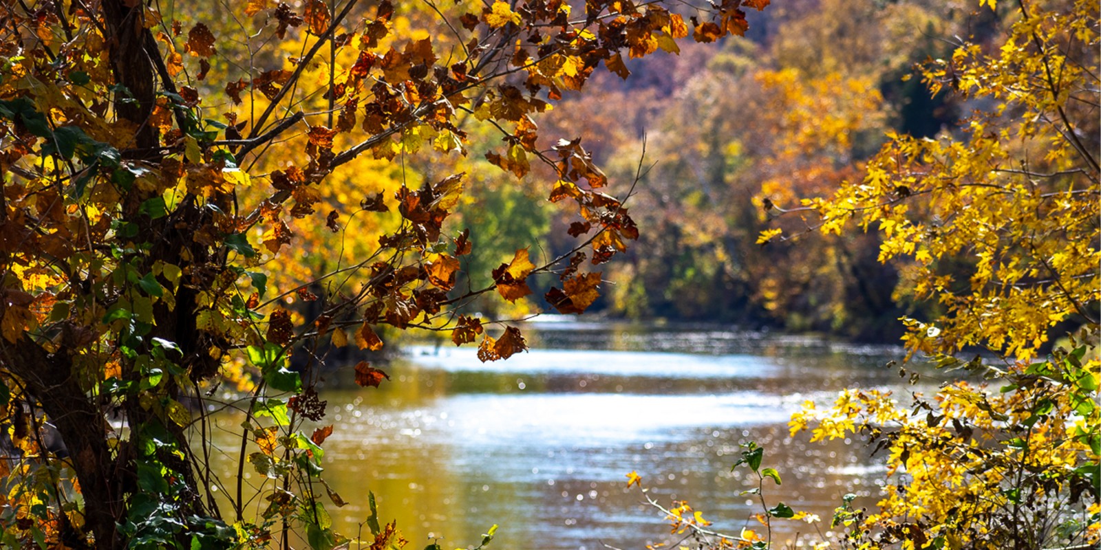 Autumn Road Trip Inspiration