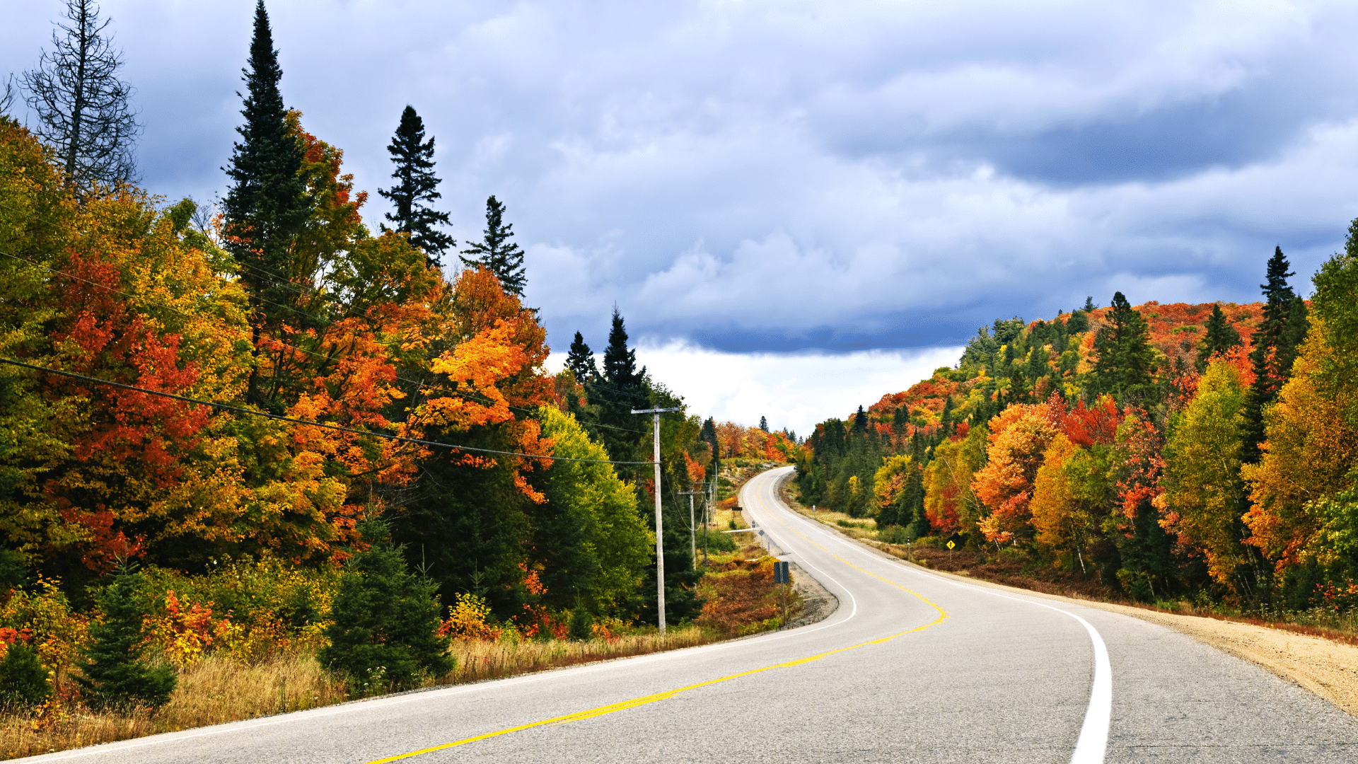 Fall Road Trip Essentials: What to Pack