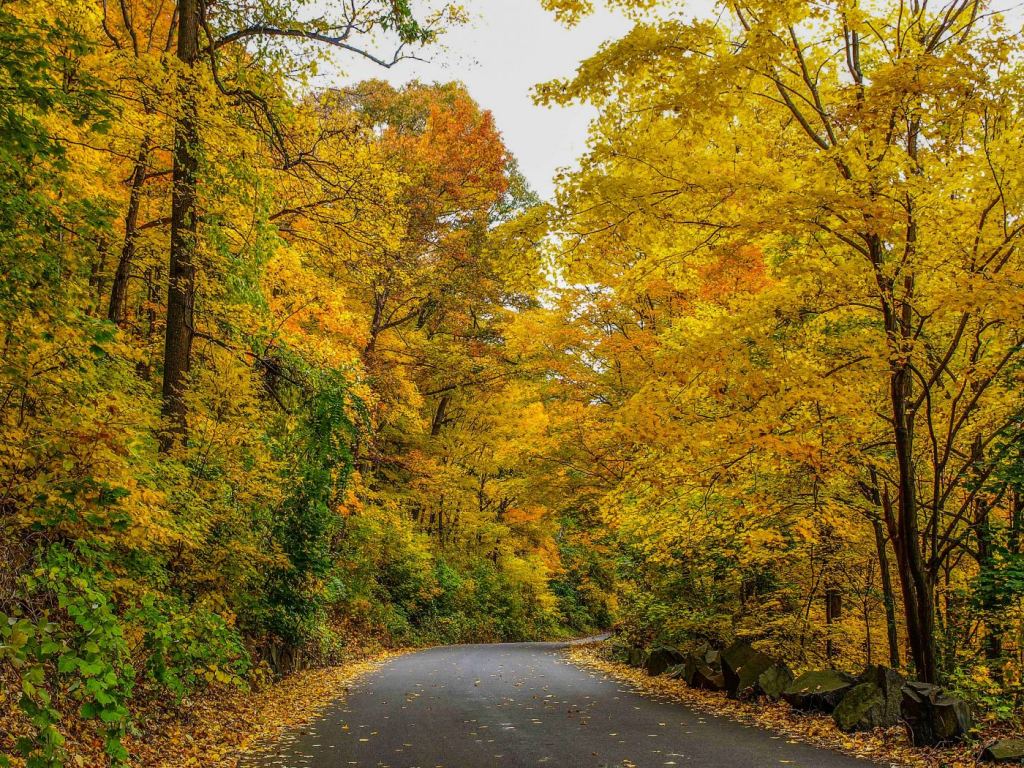 The ultimate N.J. fall road trip