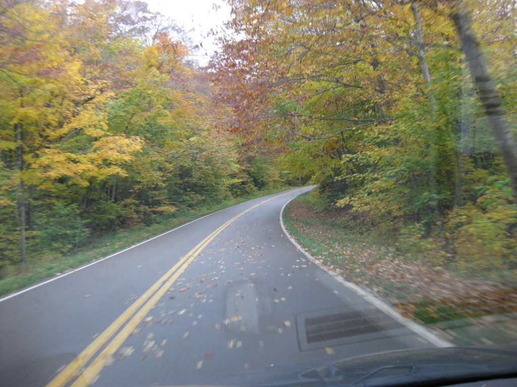 an Autumn Leaves Roadtrip