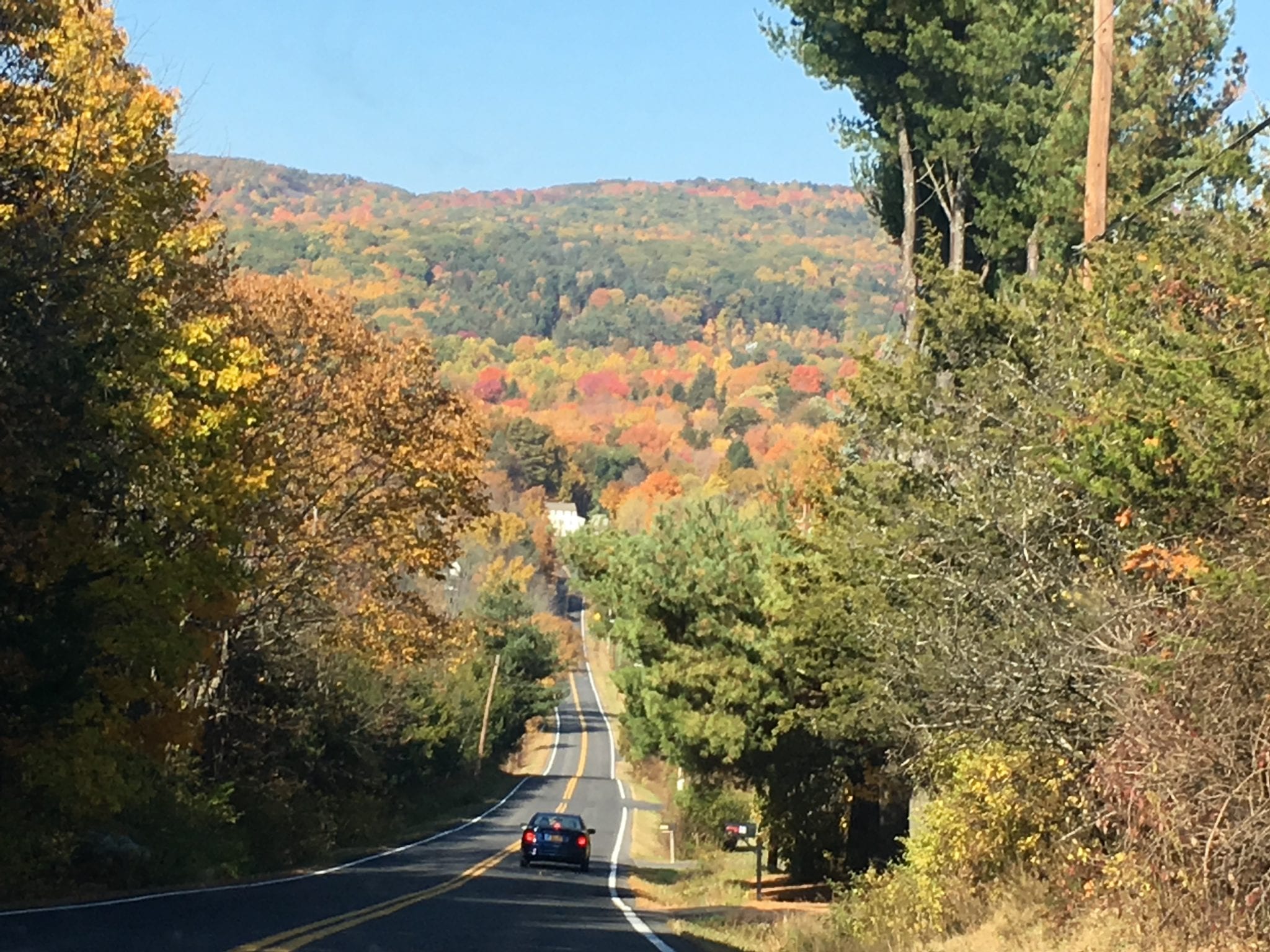 Fall Foliage Trip, Destination: Mohonk