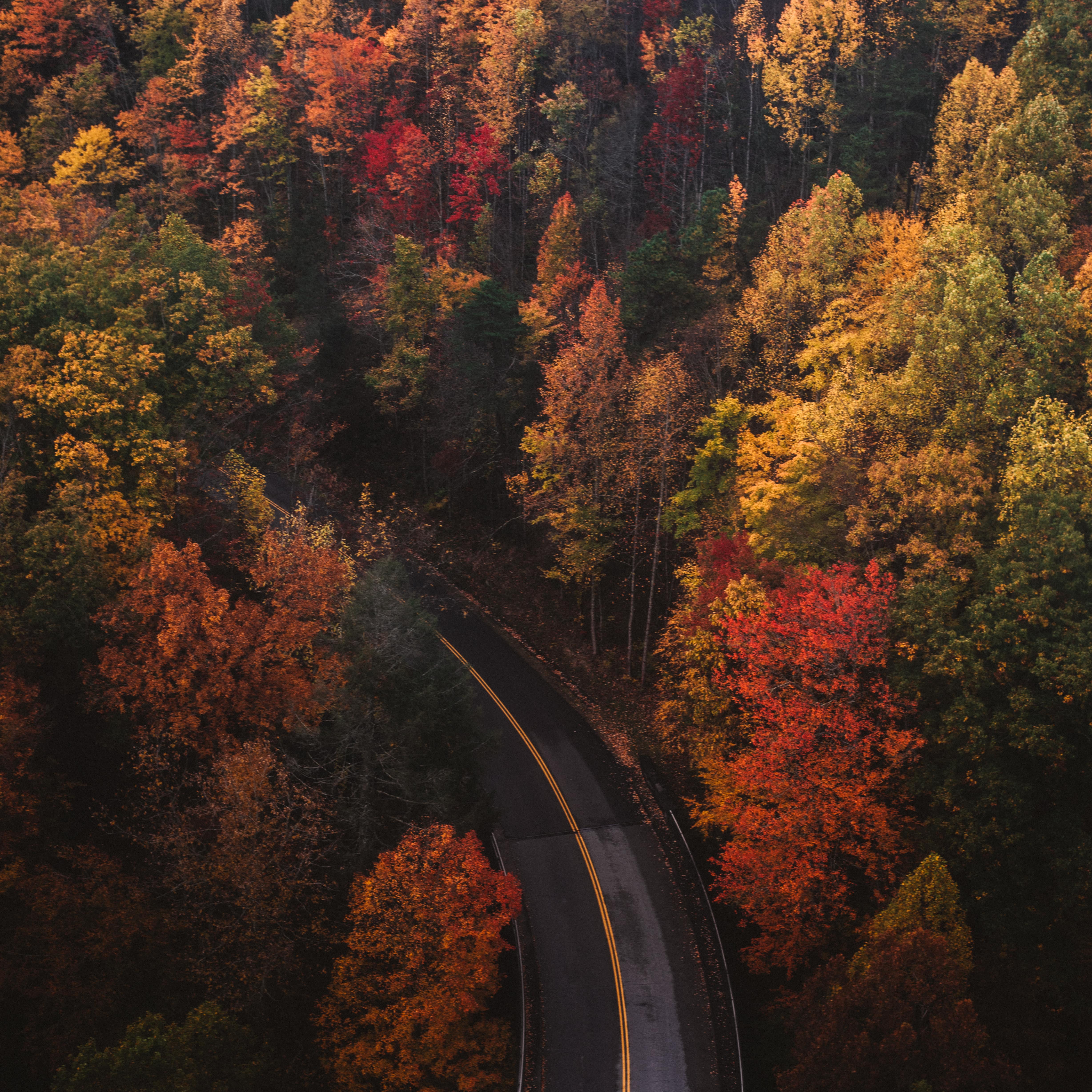 Weekend trips for fall foliage