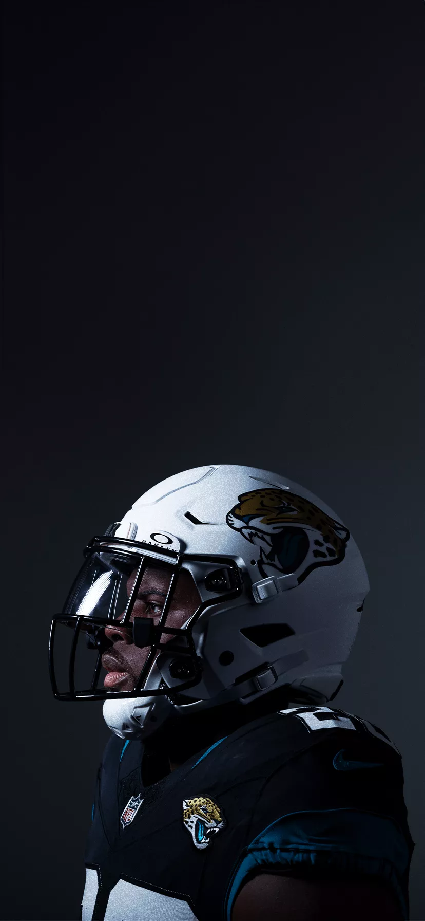 Wallpaper. Jacksonville Jaguars