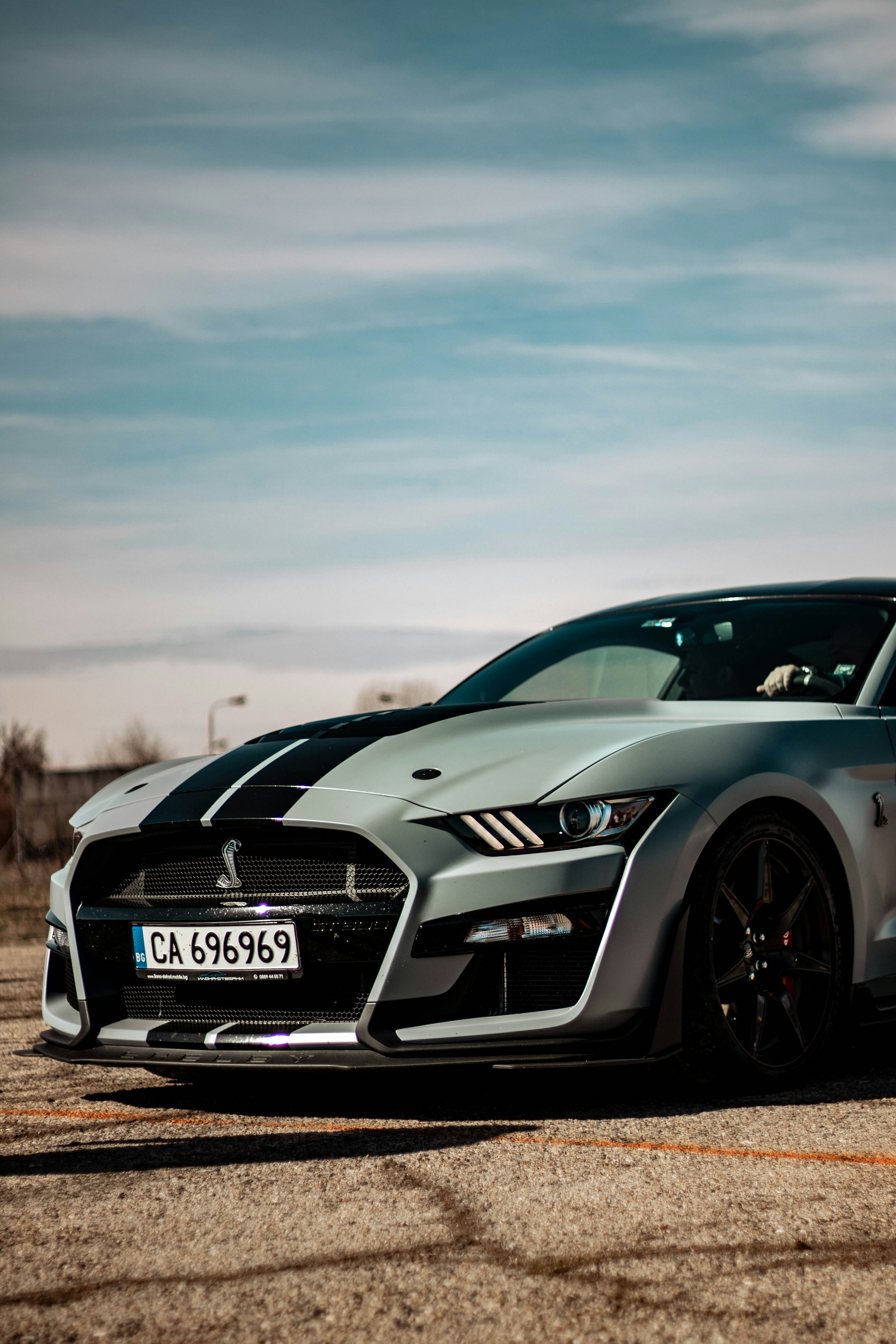 Mustang Shelby Picture. Download Free