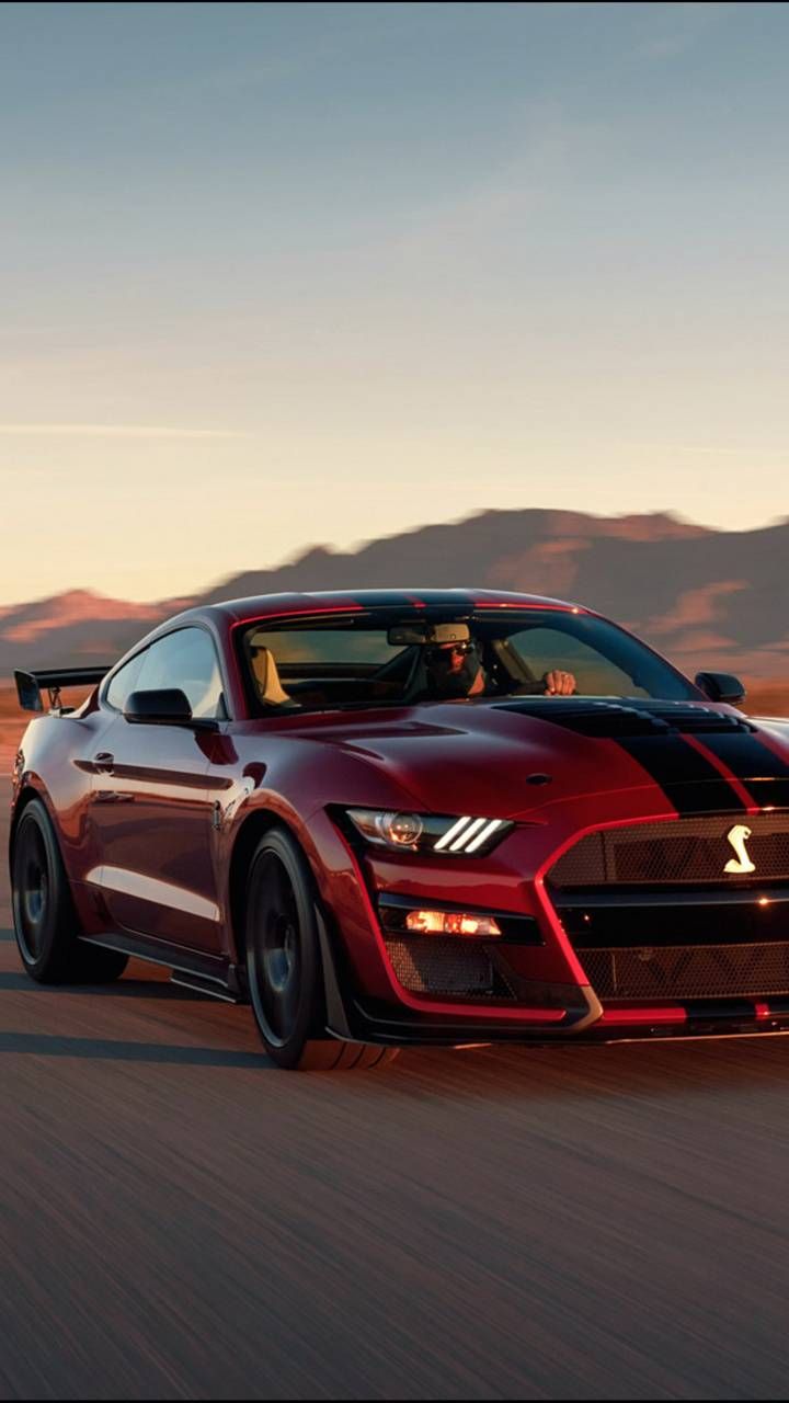 Shelby Mustang GT500 wallpaper