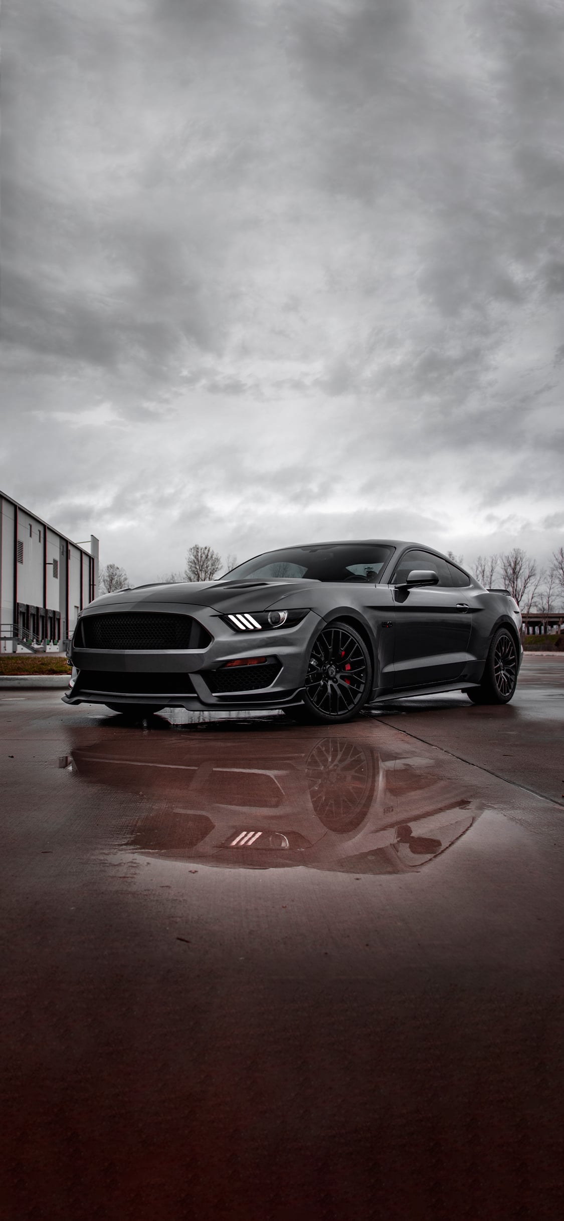 Sized for Phone Wallpaper!