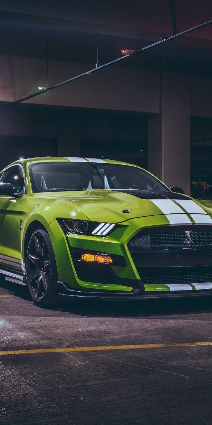 Ford Shelby Super car, luxury car