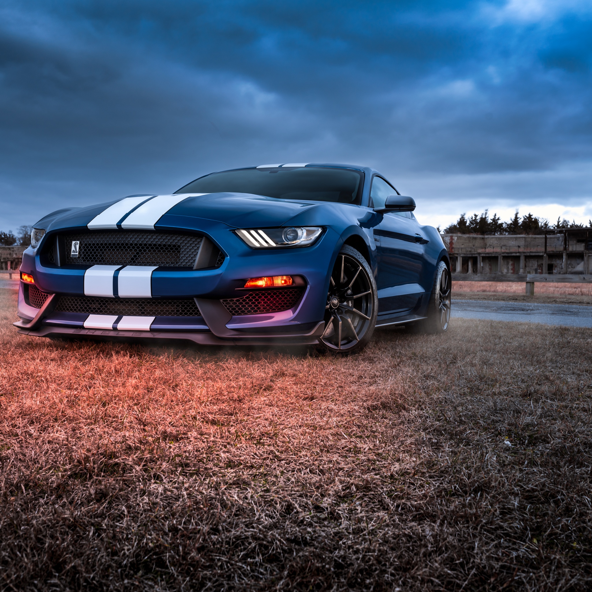 Ford Mustang Shelby GT500 Wallpaper 4K