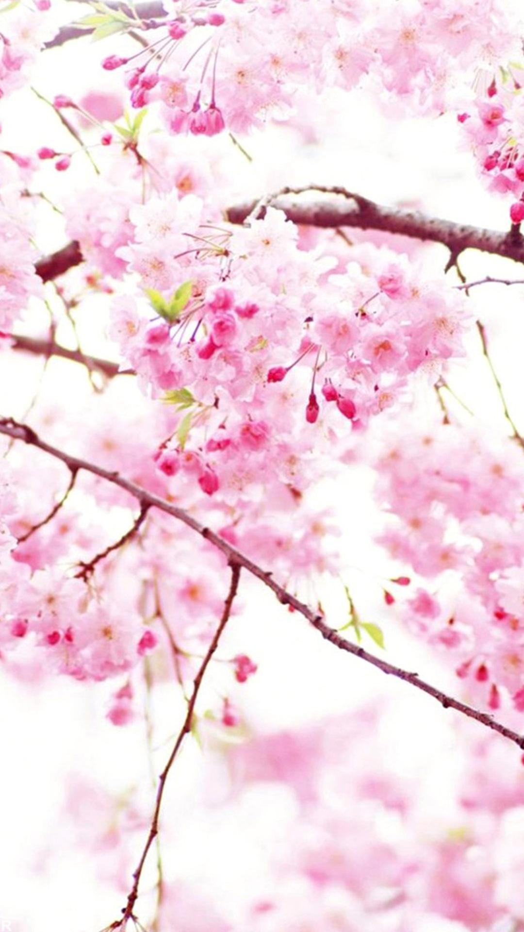 Flowers Wallpaper HD Offline APK