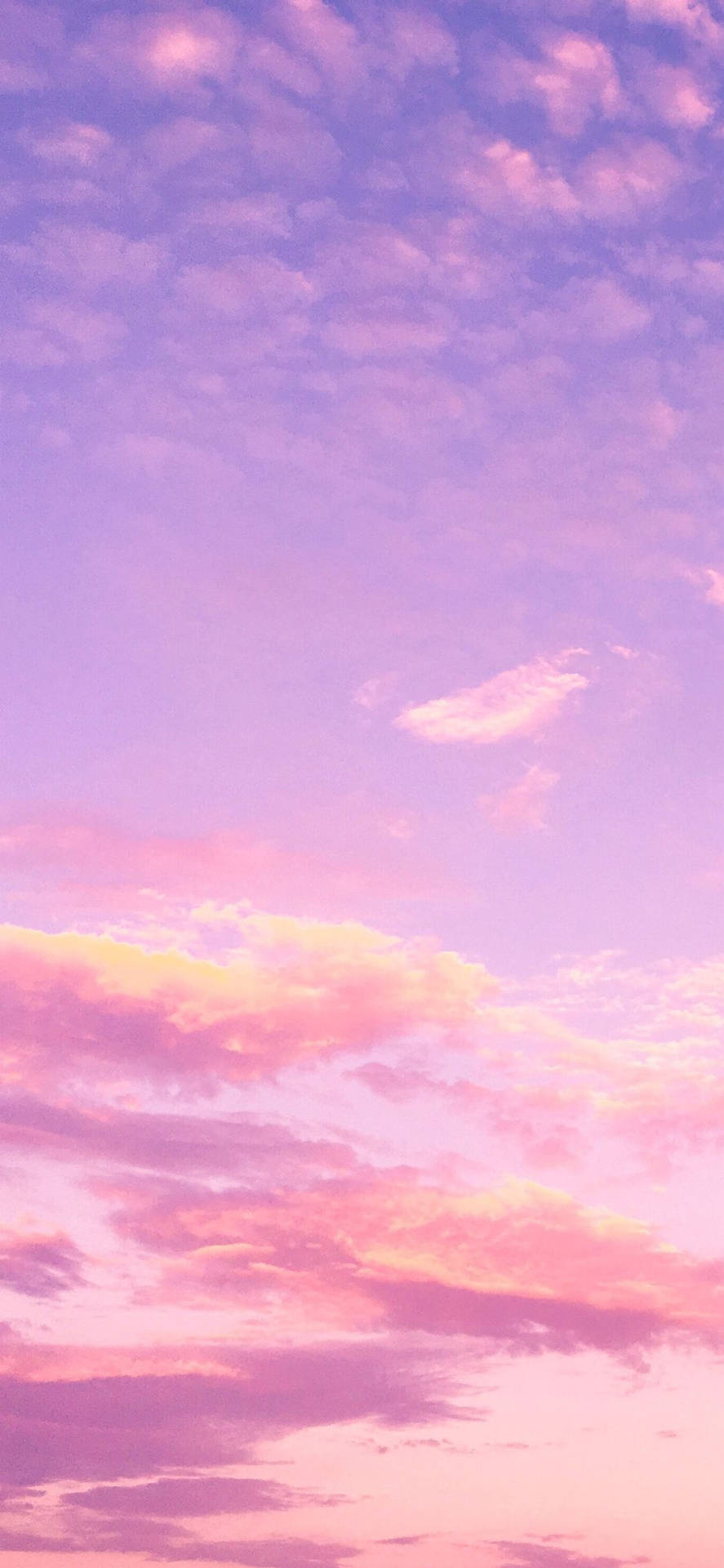 Pink And Blue Background