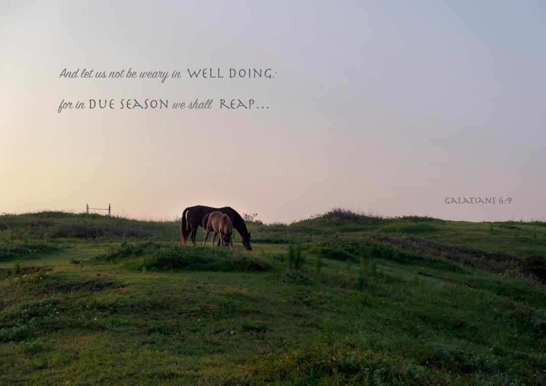 Free Nature & Bible Desktop Background