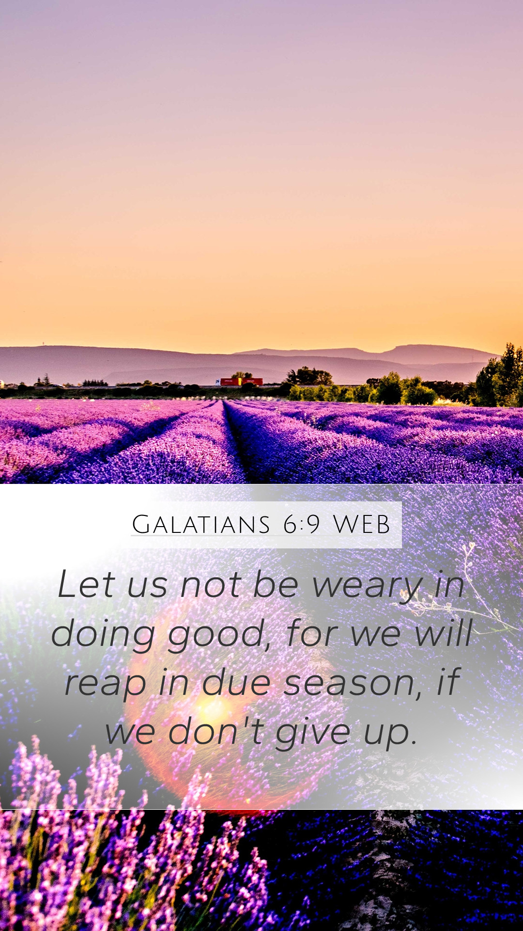 Galatians 6:9 WEB Mobile Phone