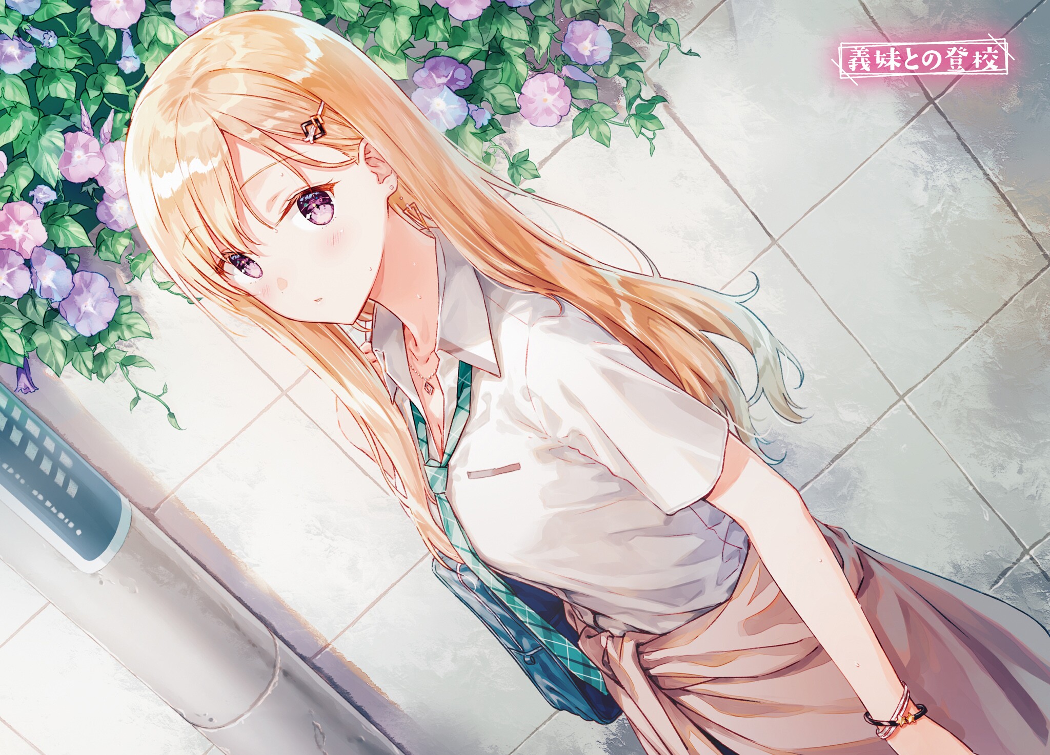 Download Saki Ayase Anime Gimai