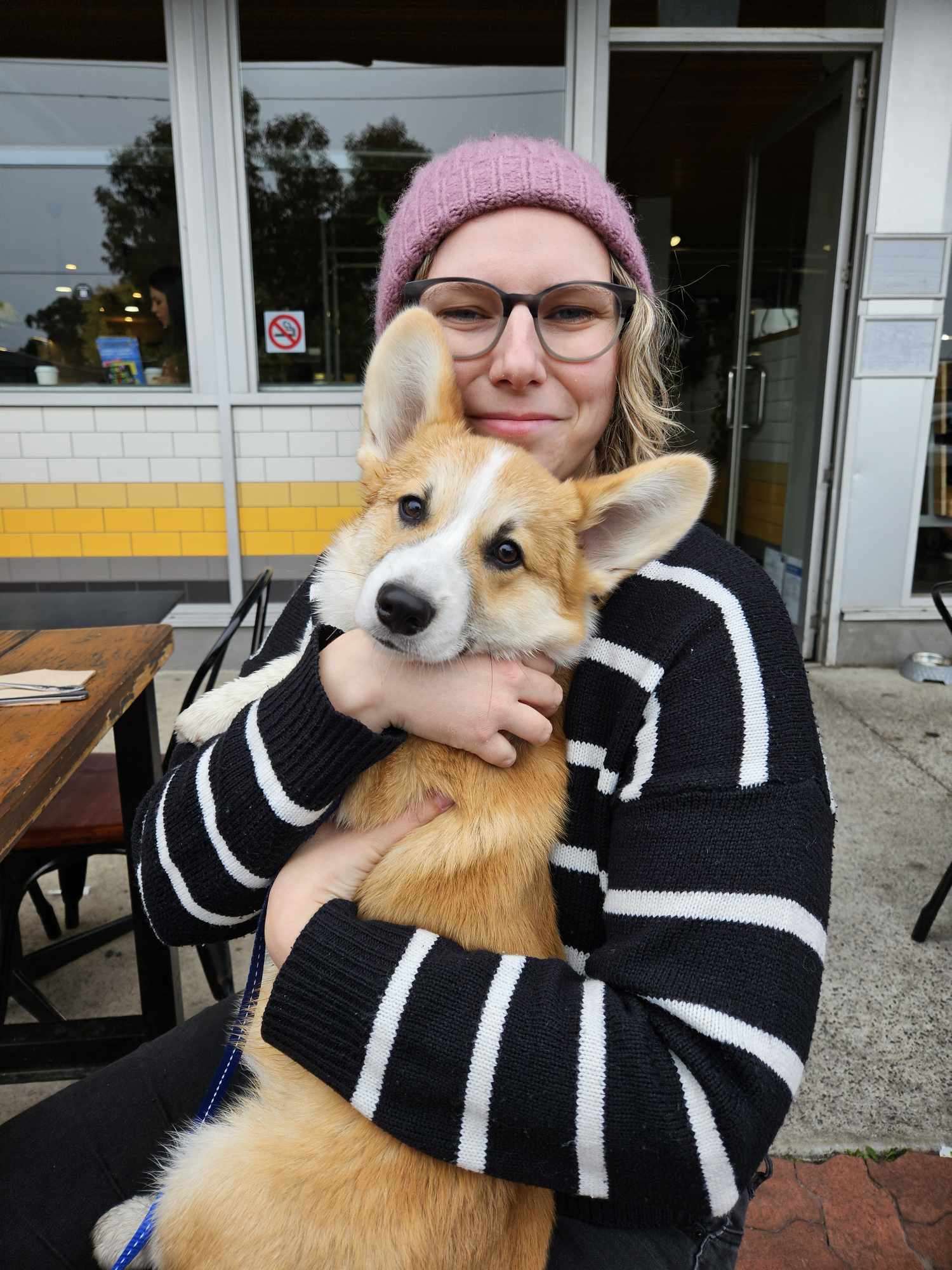 Some happy puppy pics of Benji and his