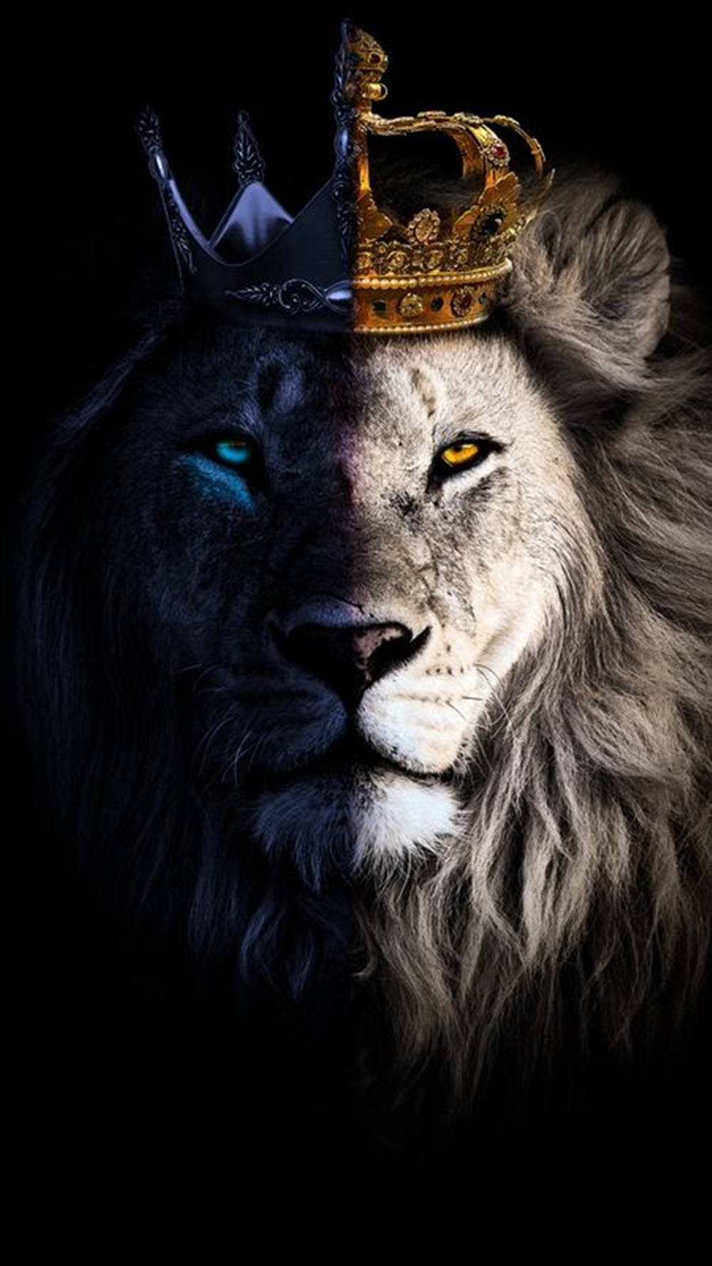 Download King Lion Galaxy Wallpaper