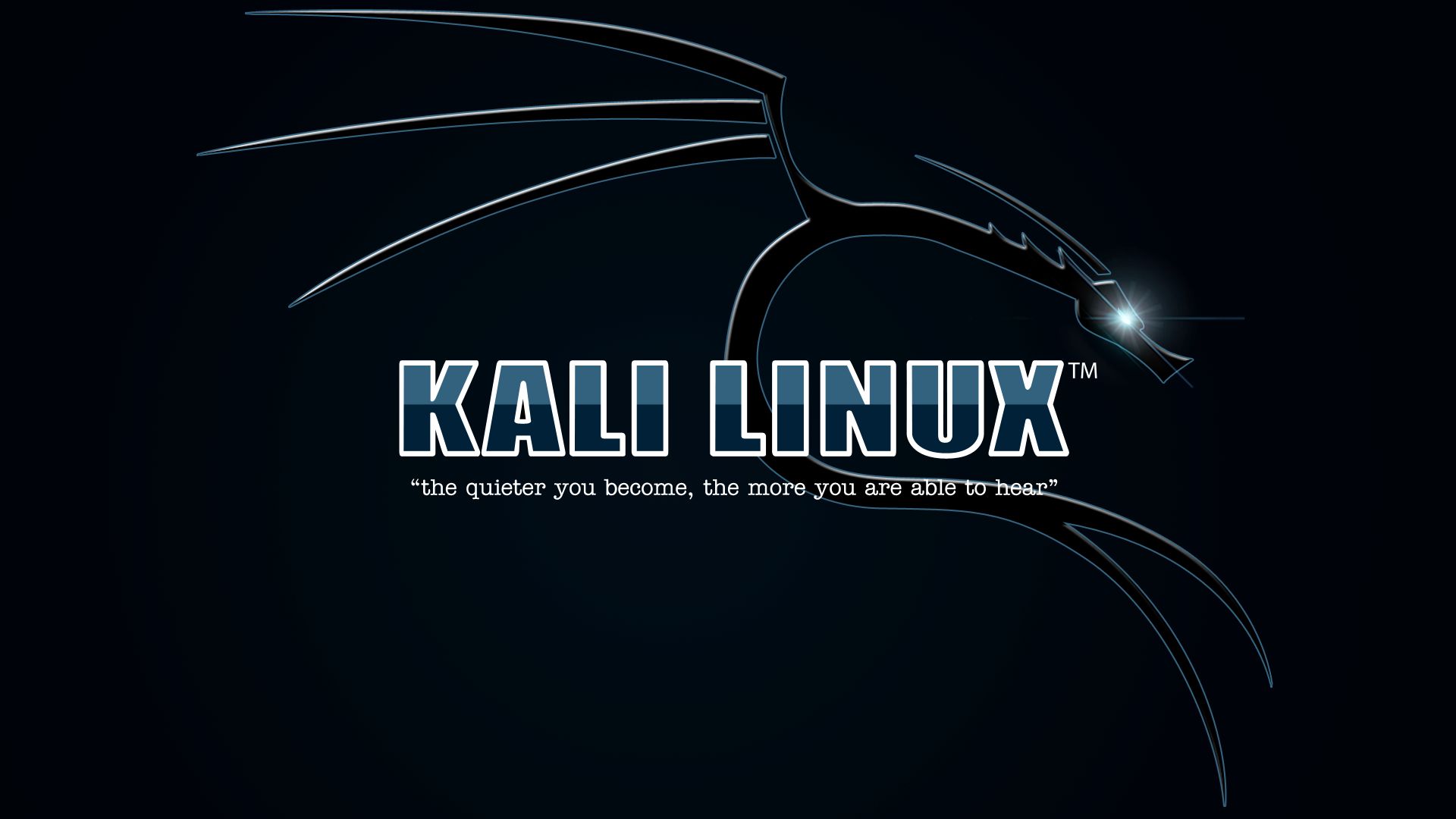 HD desktop wallpaper: Technology, Kali