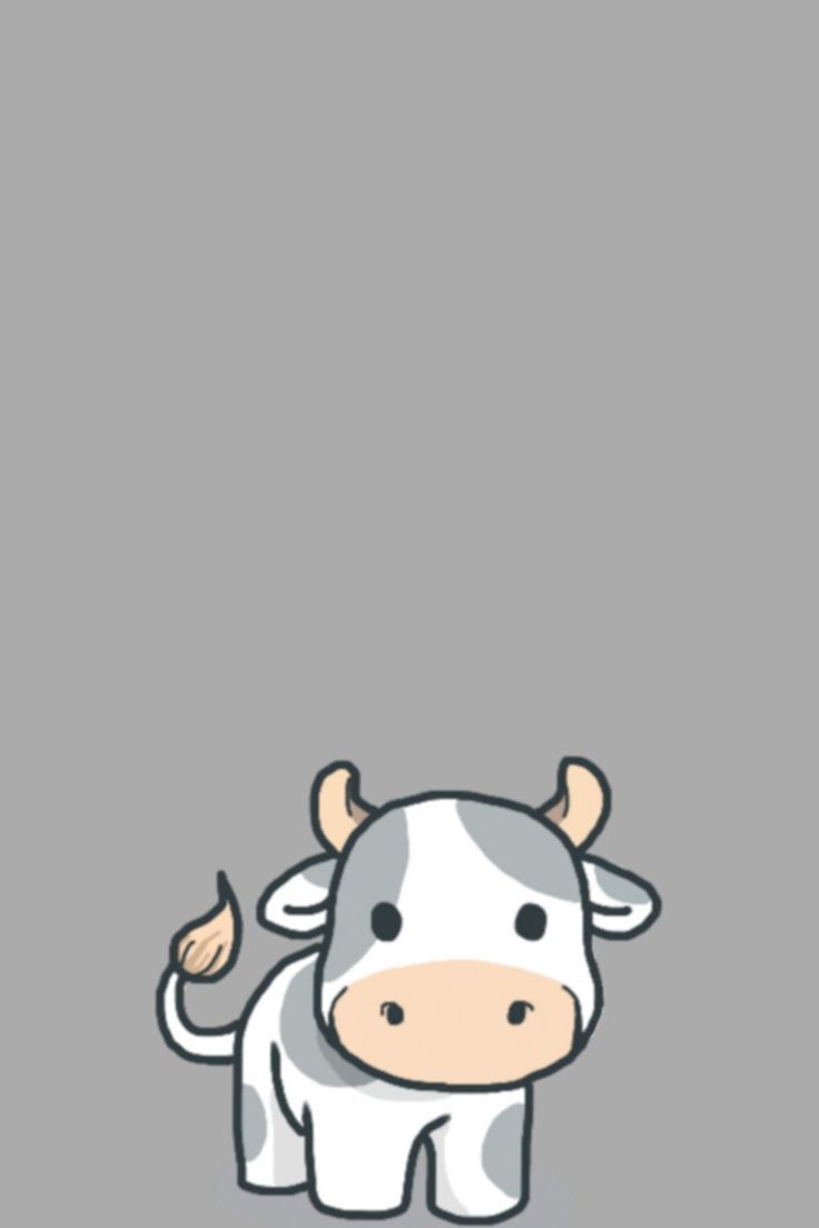 cute cow Wallpaper