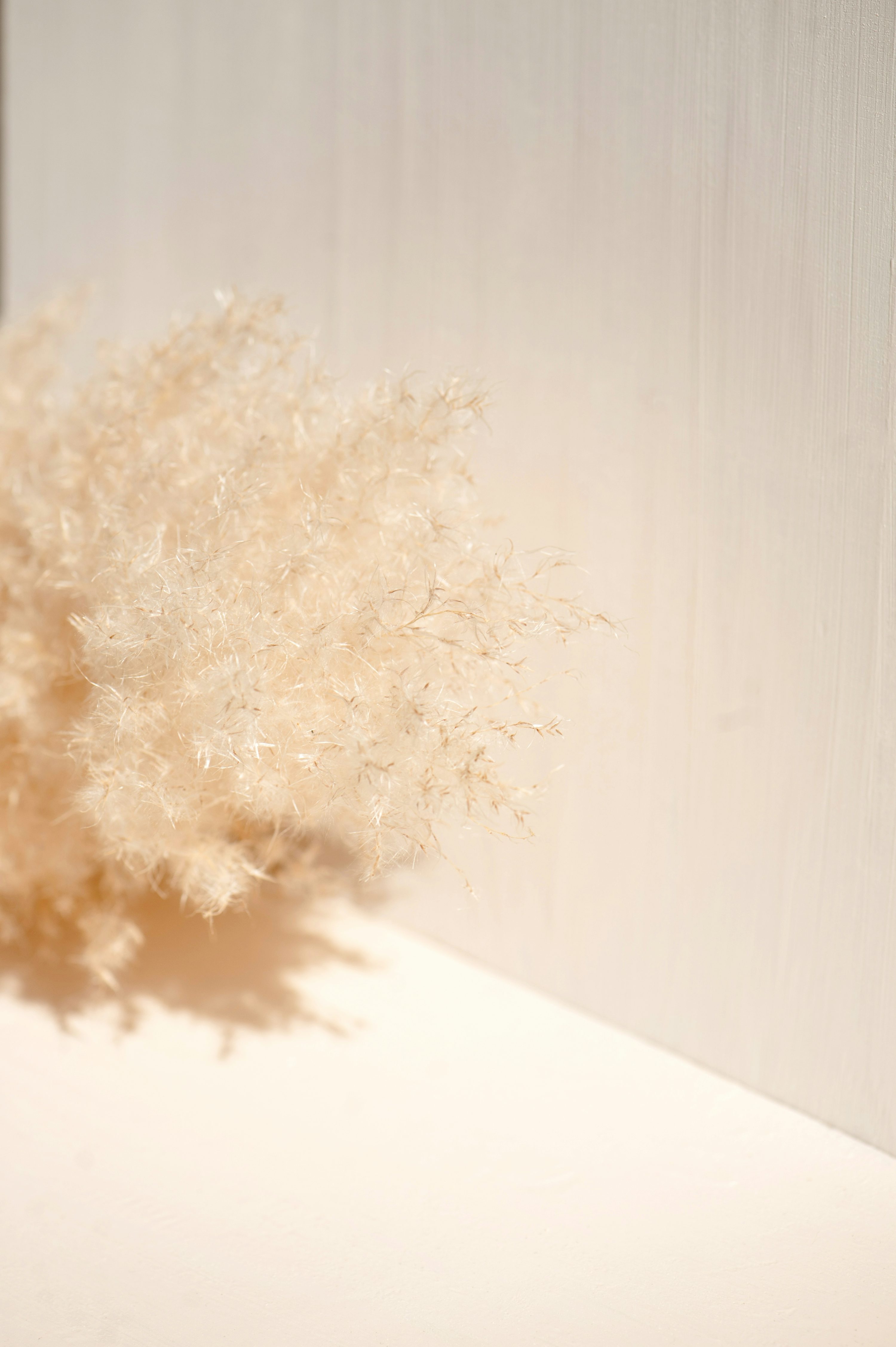 Beige Picture [HD]. Download