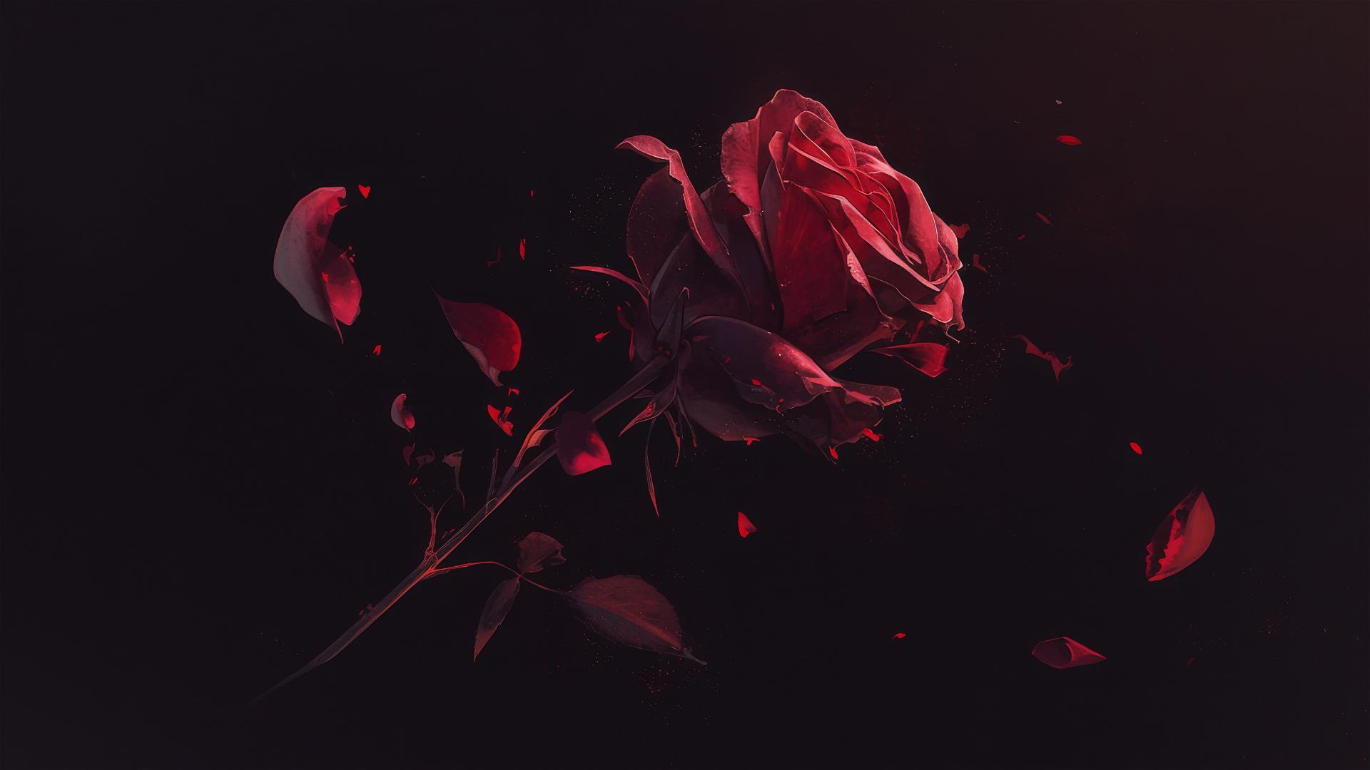 4k HD Wallpaper: Burgundy Petal