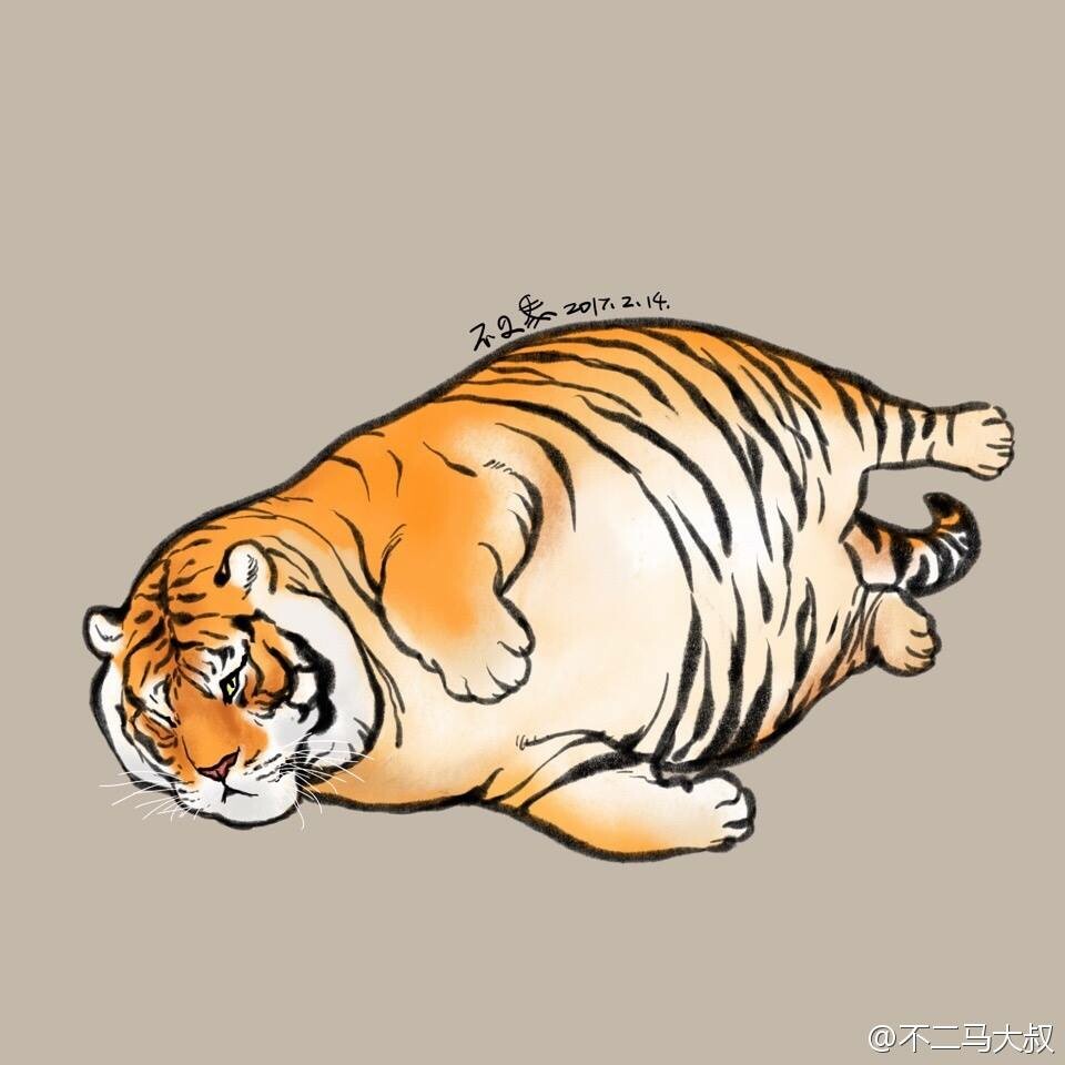 Vitamin Imagination (Fat tiger)