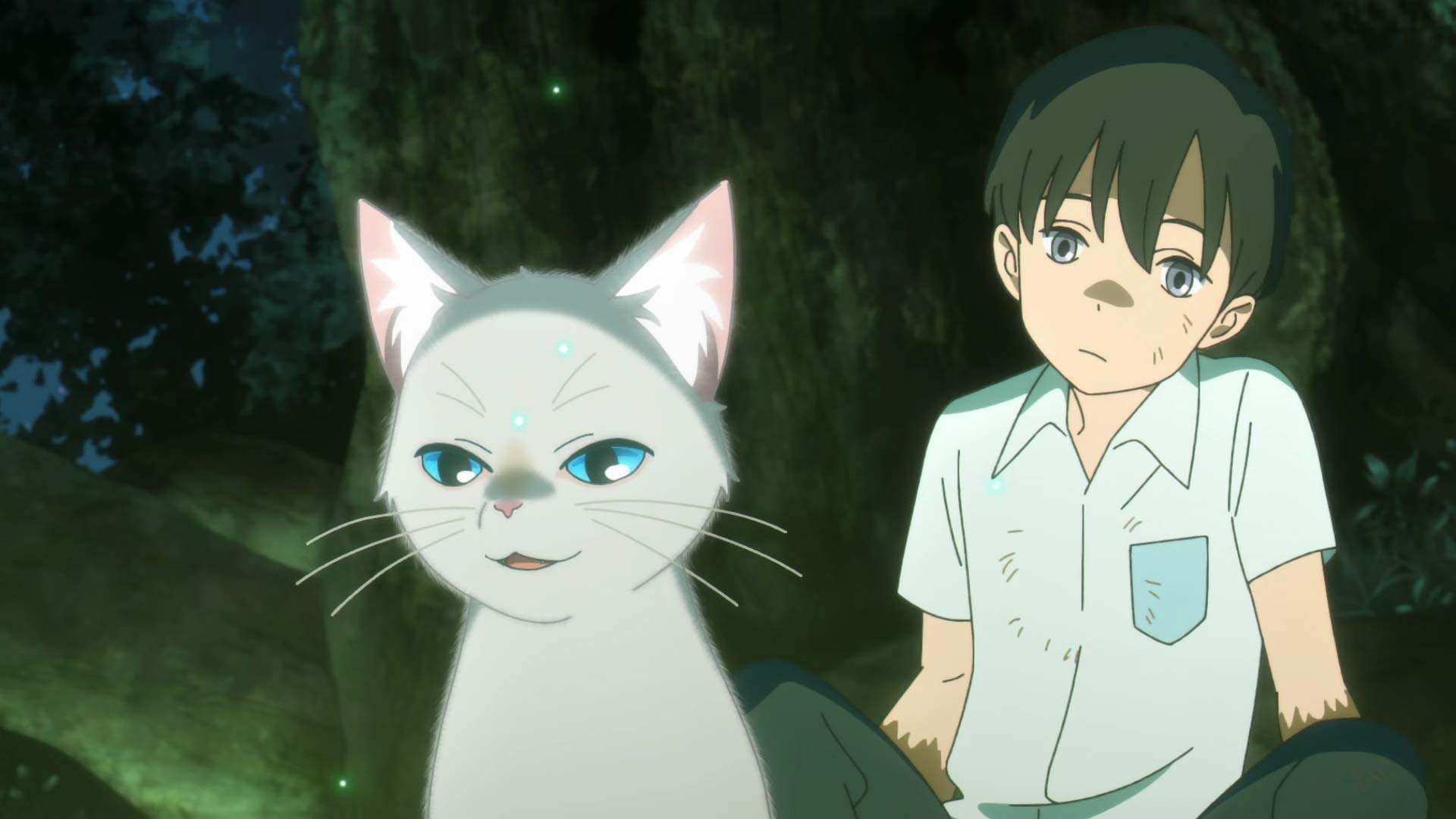 A Whisker Away Poster Print, A Whisker