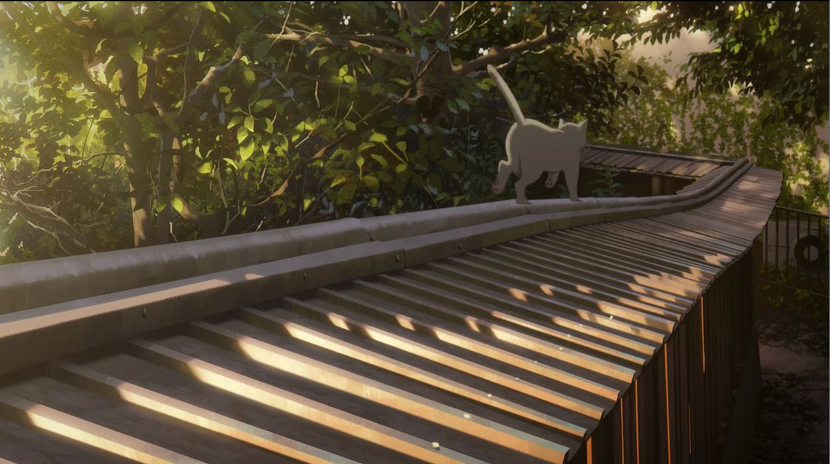 DRON scene of A Whisker