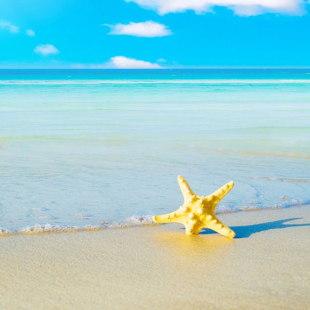 Starfish On The Beach 5 iPad Wallpaper