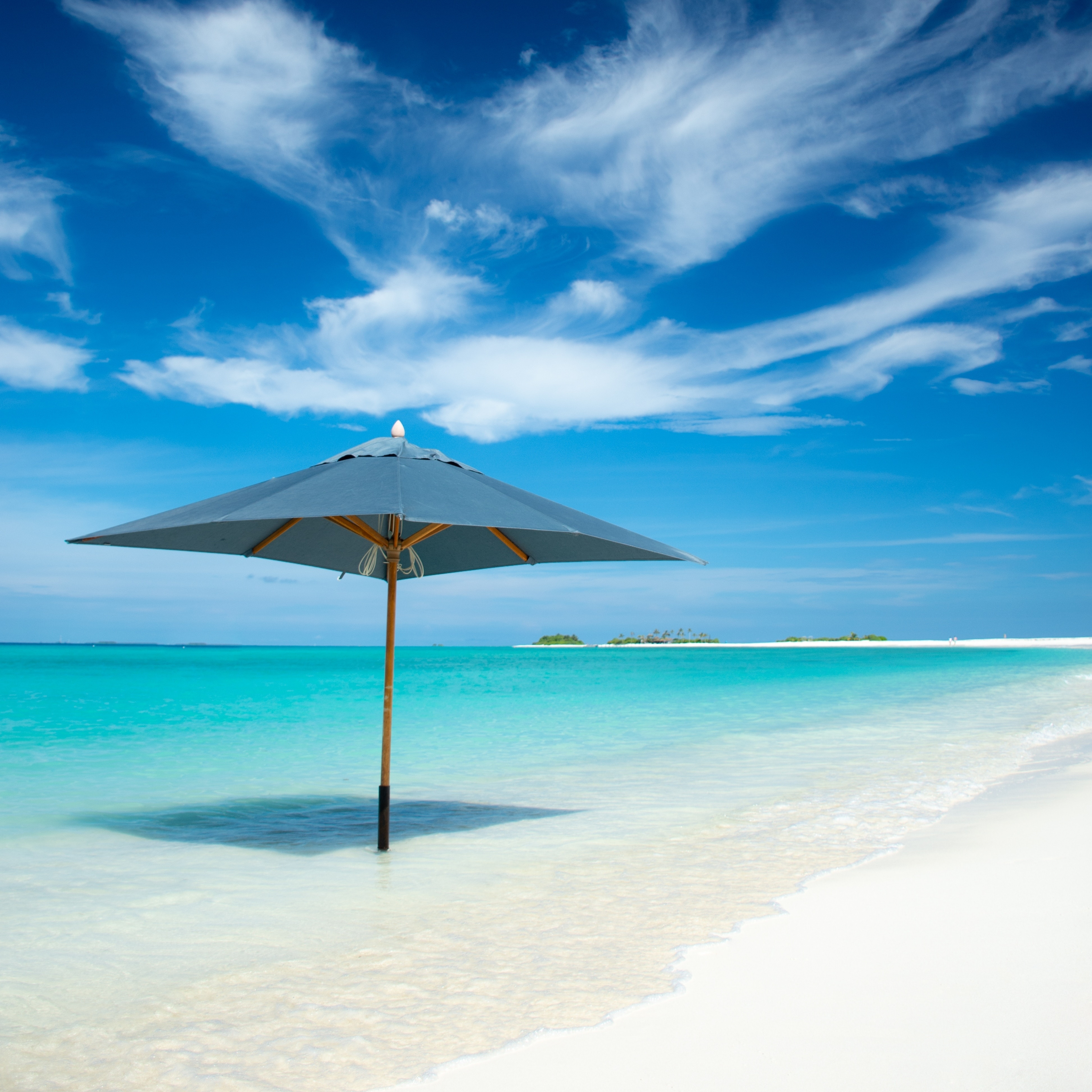 Download wallpaper 2932x2932 umbrella