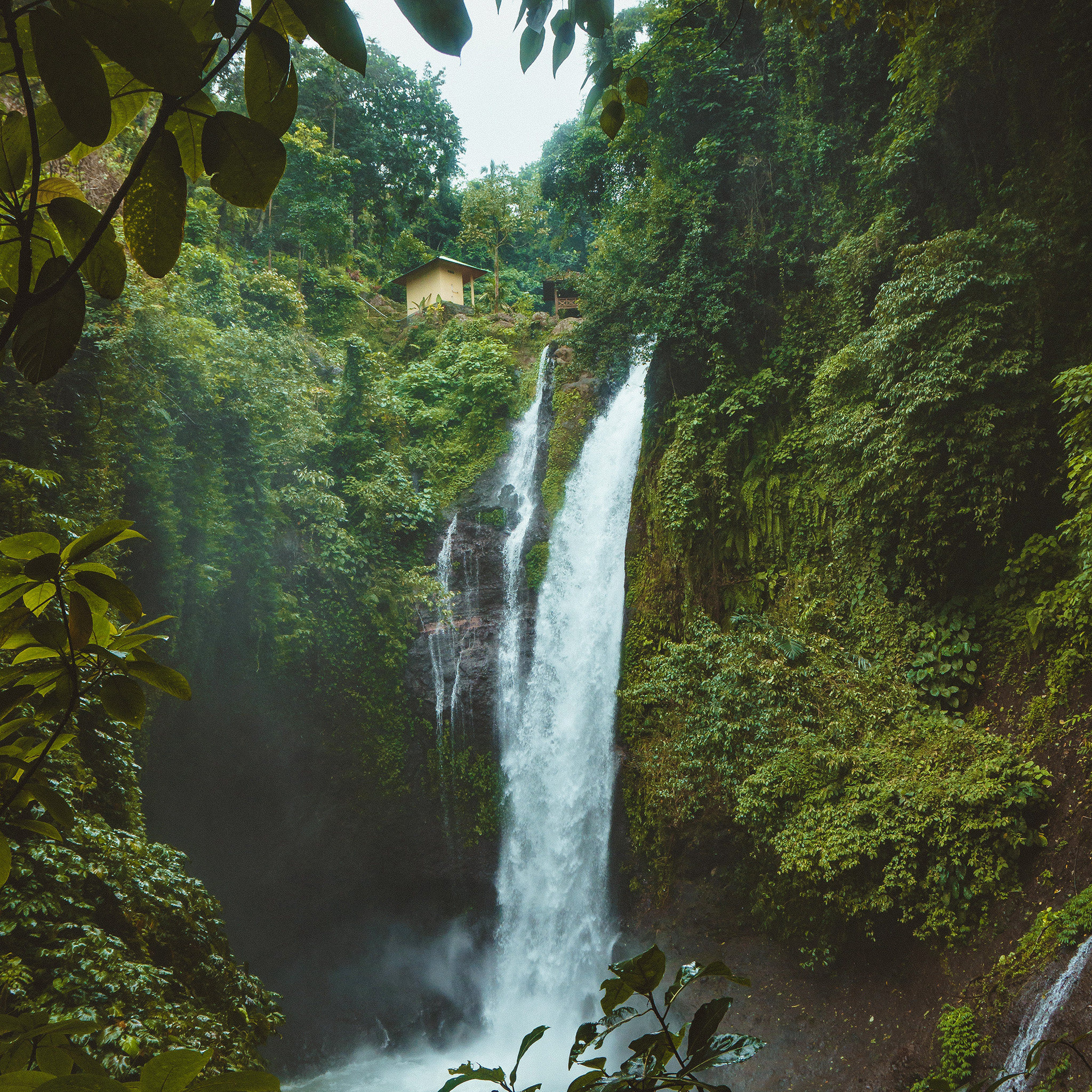 Waterfall Summer Forest River