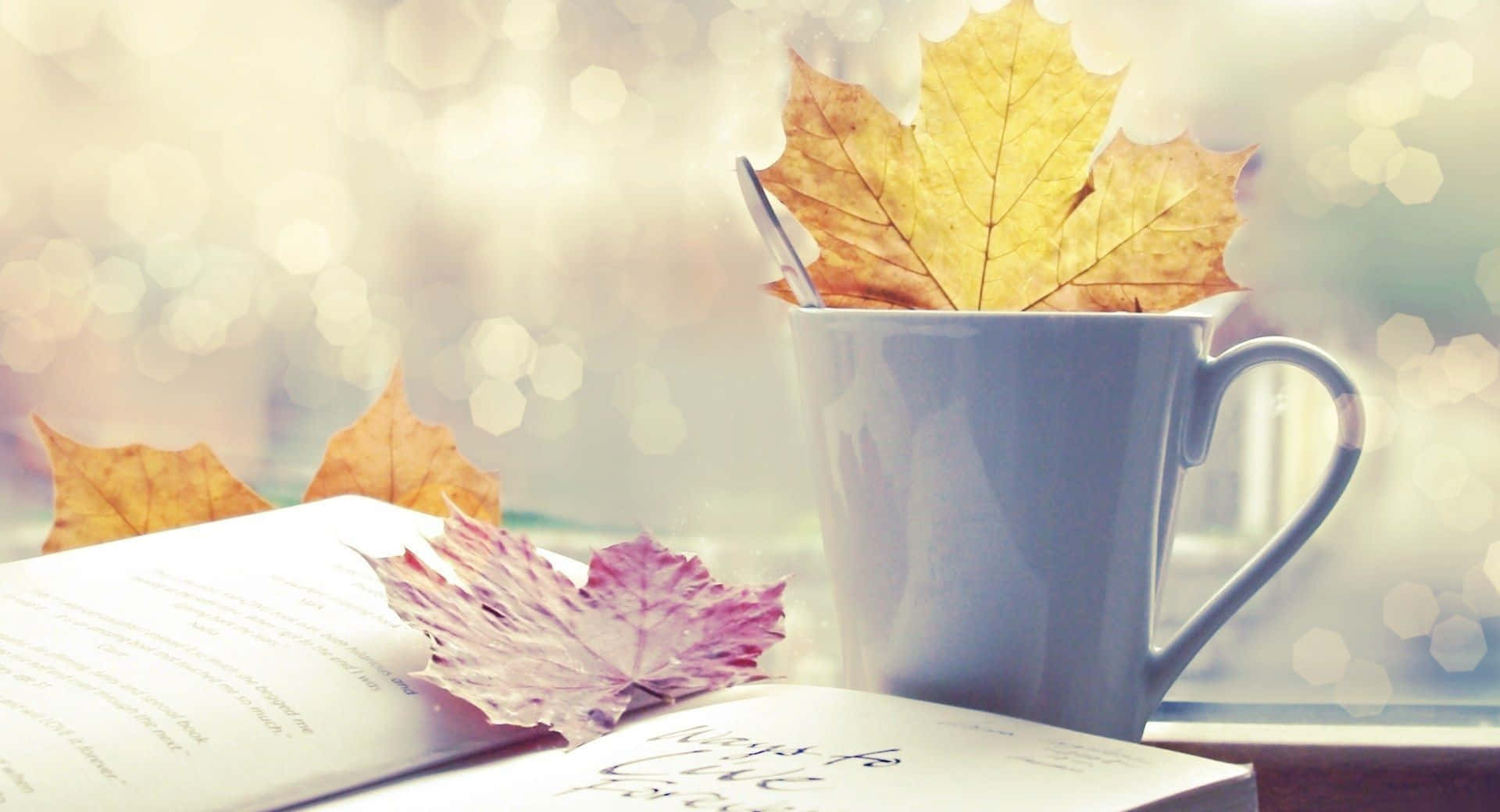 Download Autumn Leaves On A Window Sill