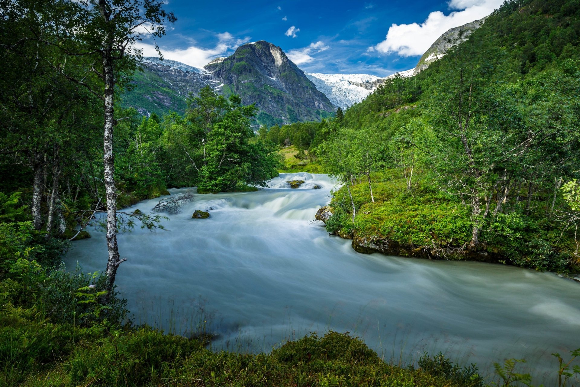 Norwegian Mountain Tree Nature River 4k