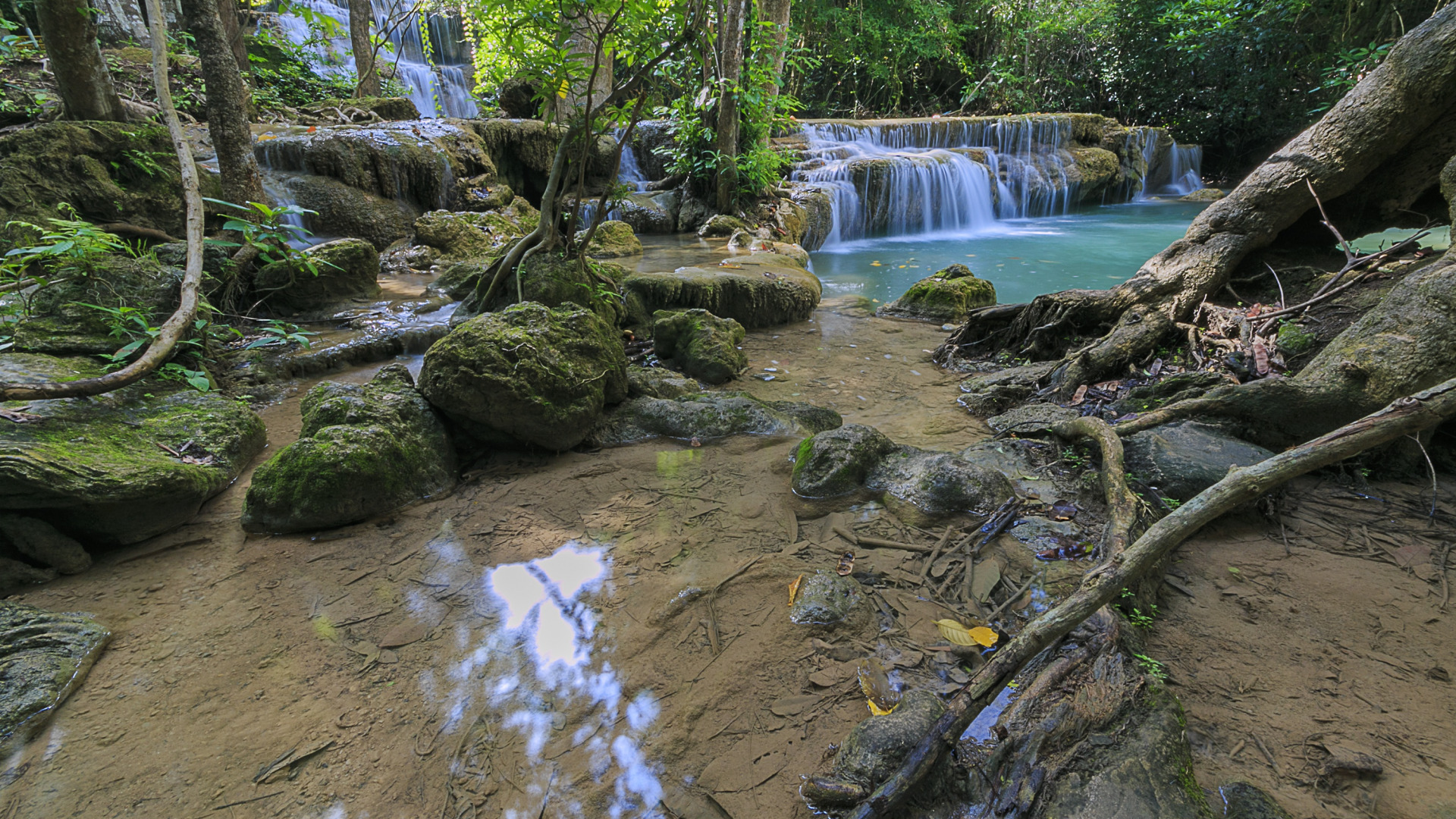 Download wallpaper forest, landscape